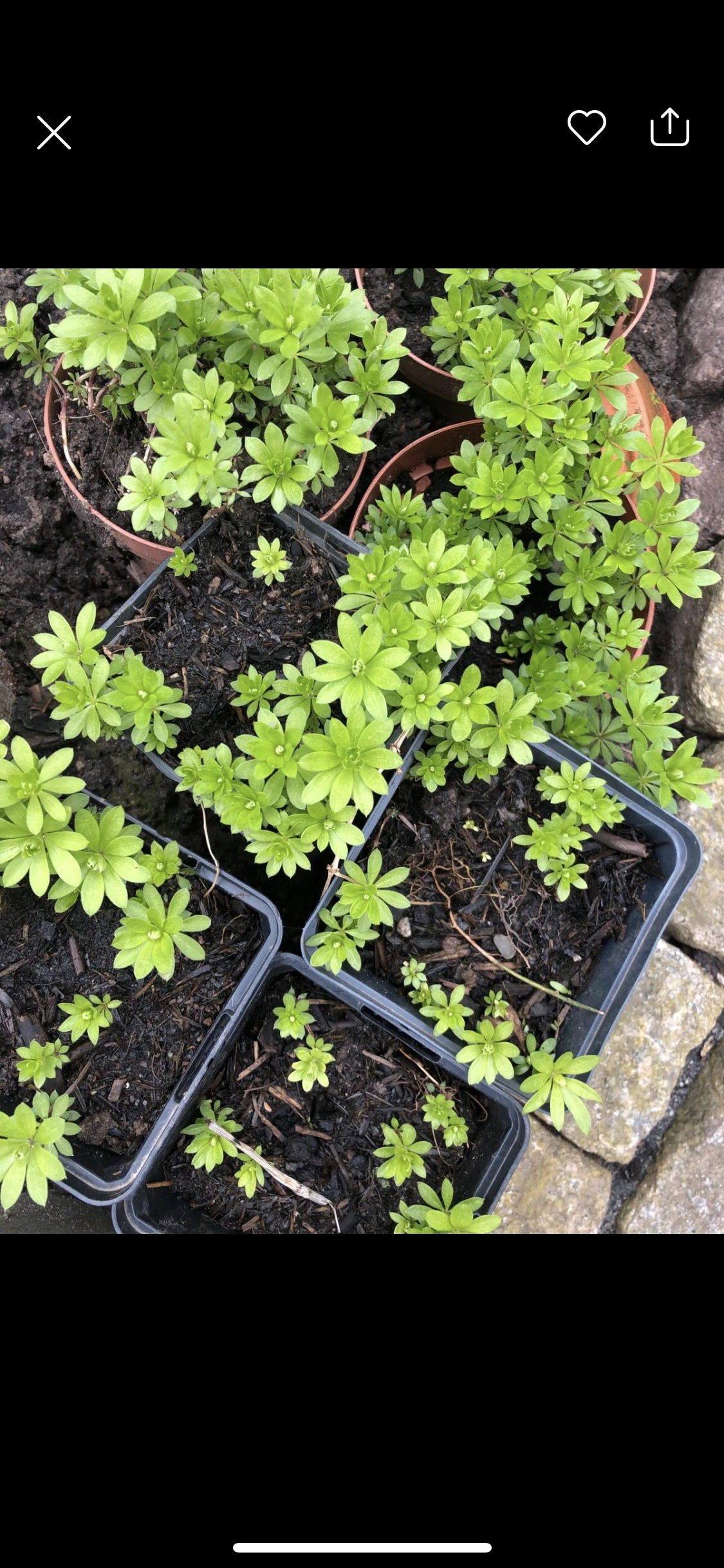 keine Beschreibung vorhanden