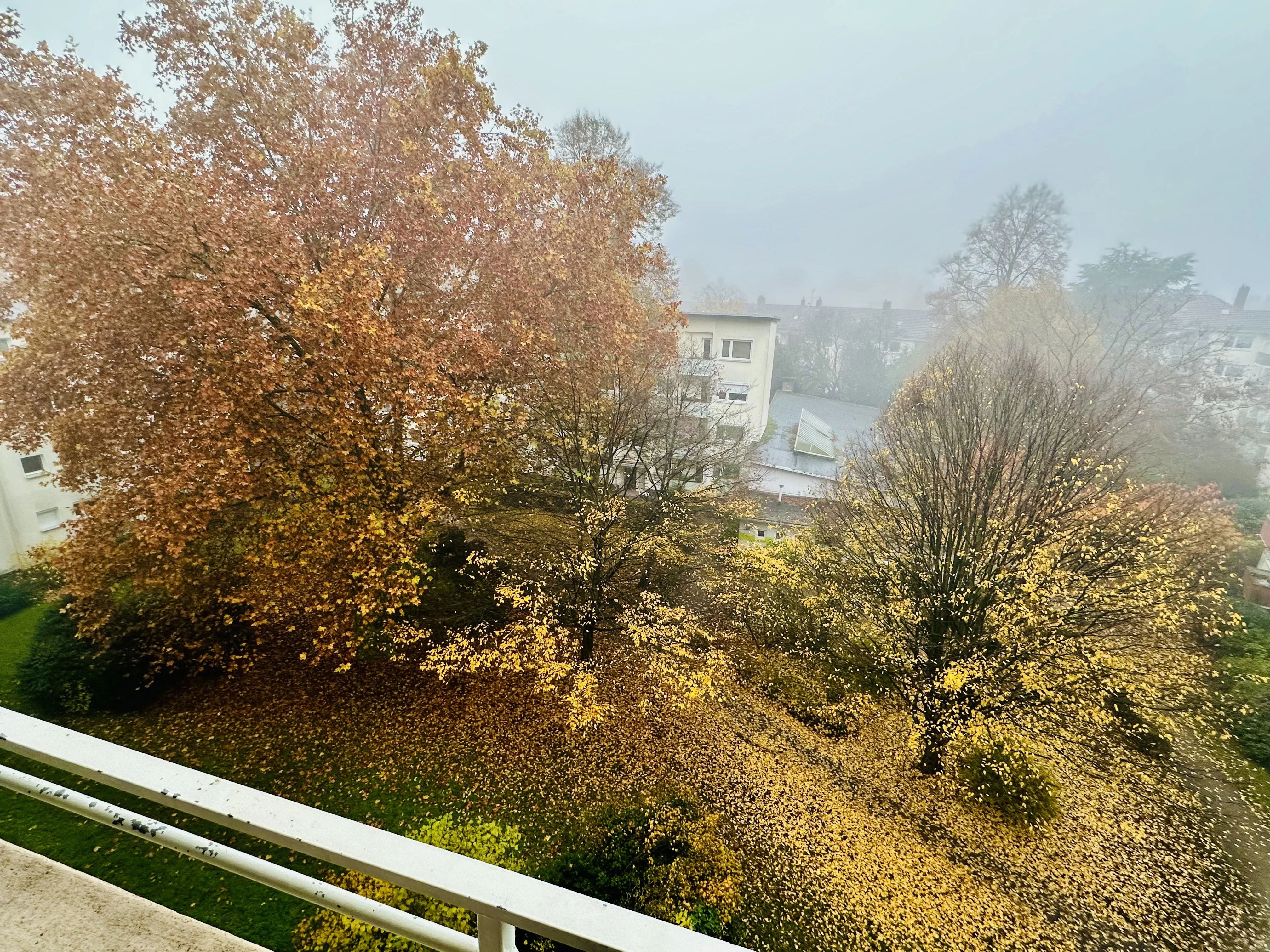 keine Beschreibung vorhanden