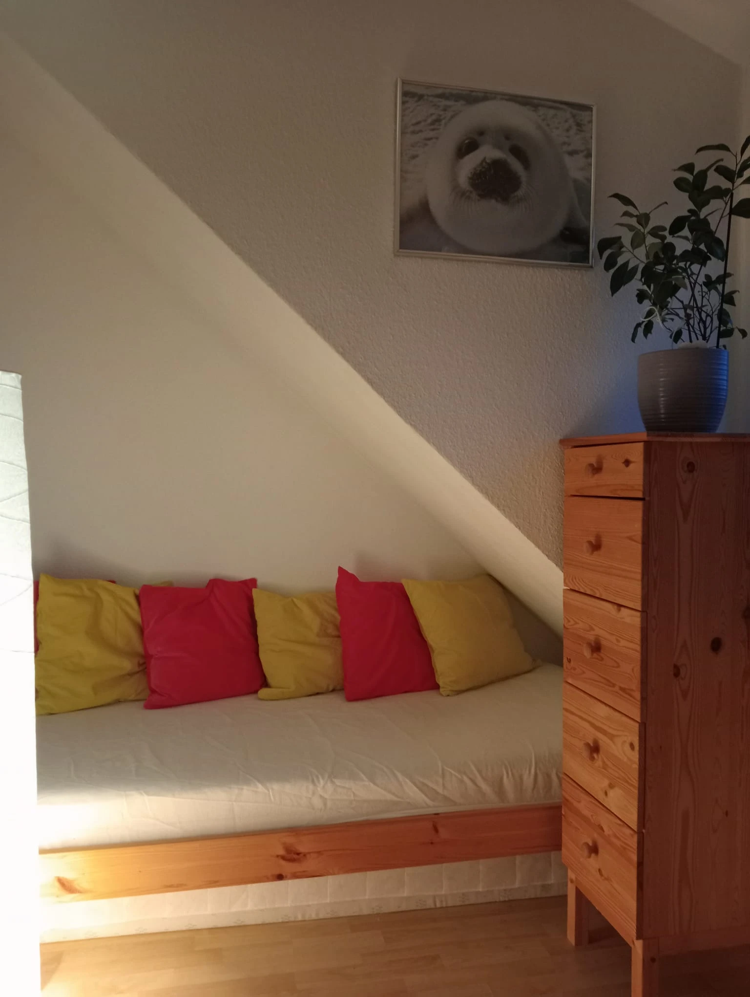 keine Beschreibung vorhanden