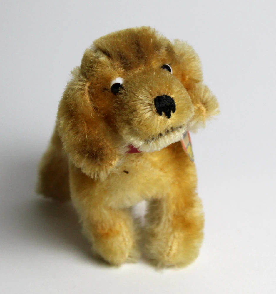 keine Beschreibung vorhanden