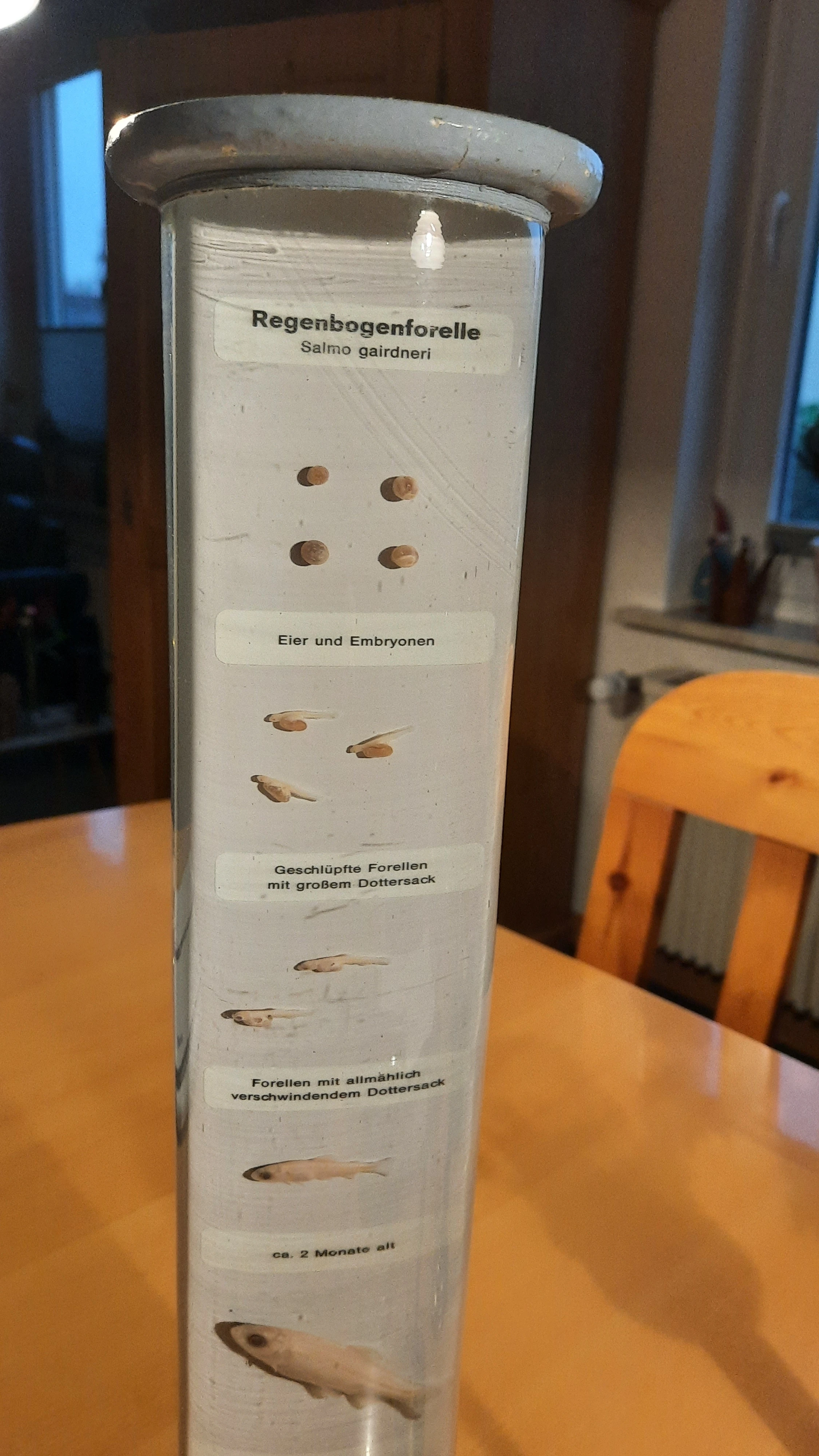 keine Beschreibung vorhanden