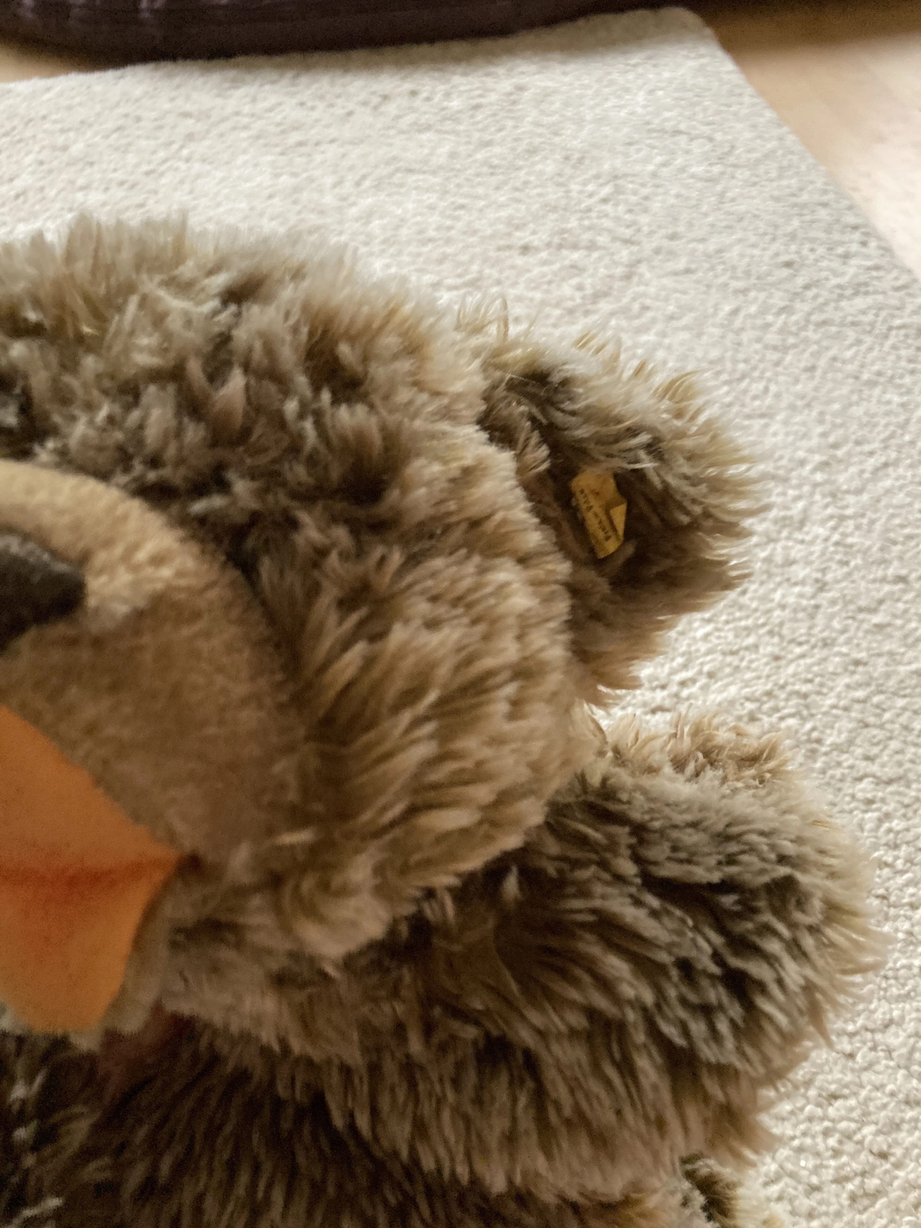 keine Beschreibung vorhanden