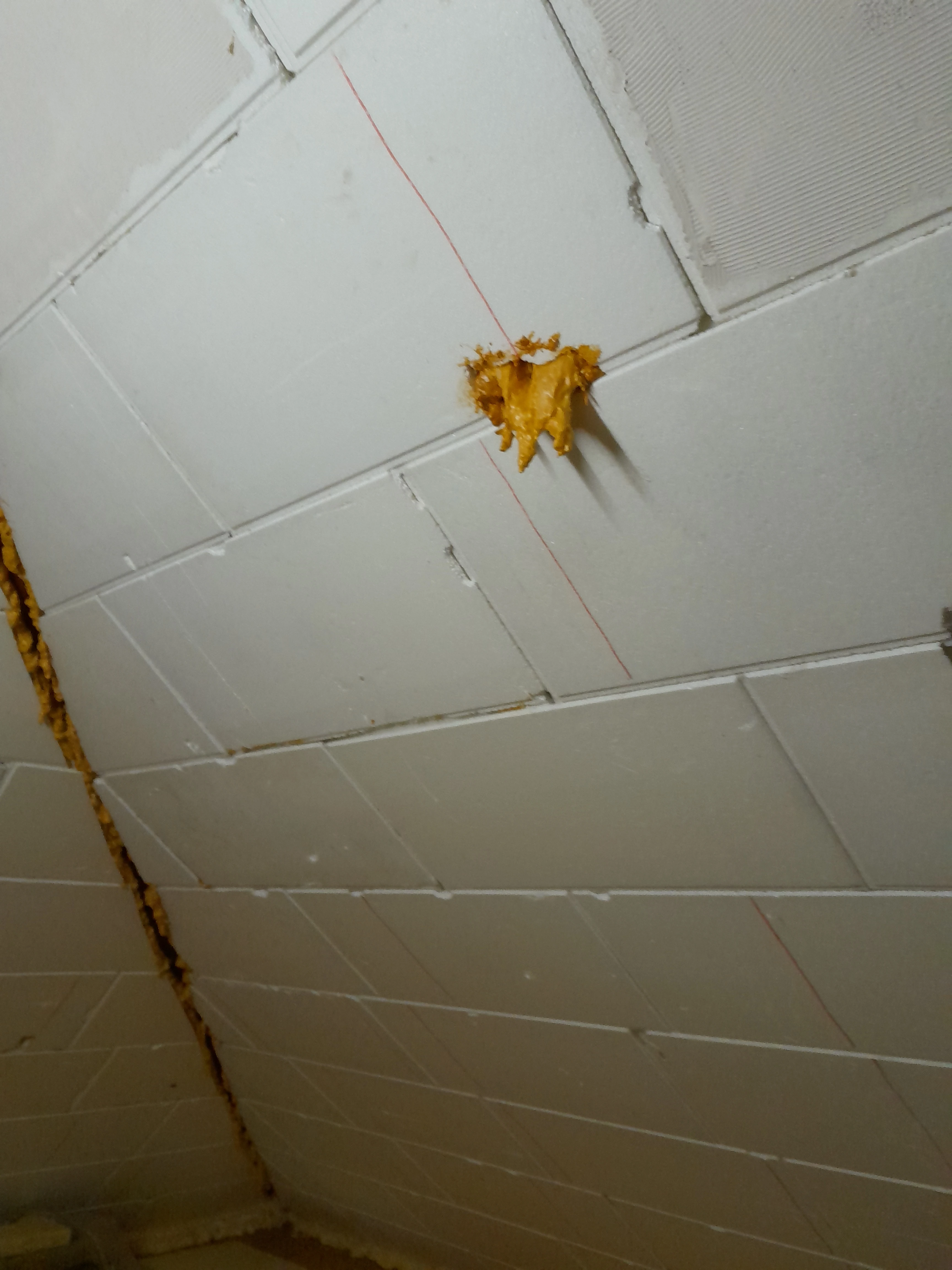 keine Beschreibung vorhanden