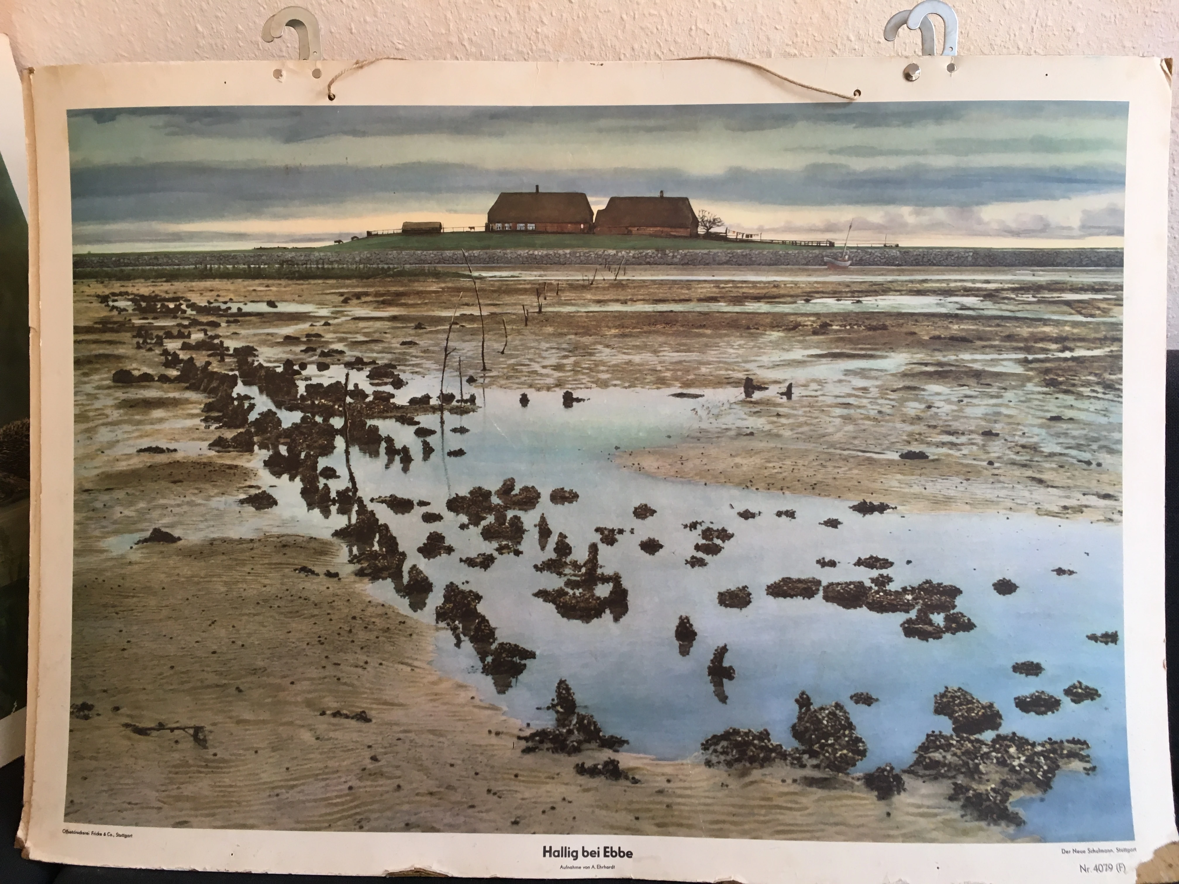 keine Beschreibung vorhanden