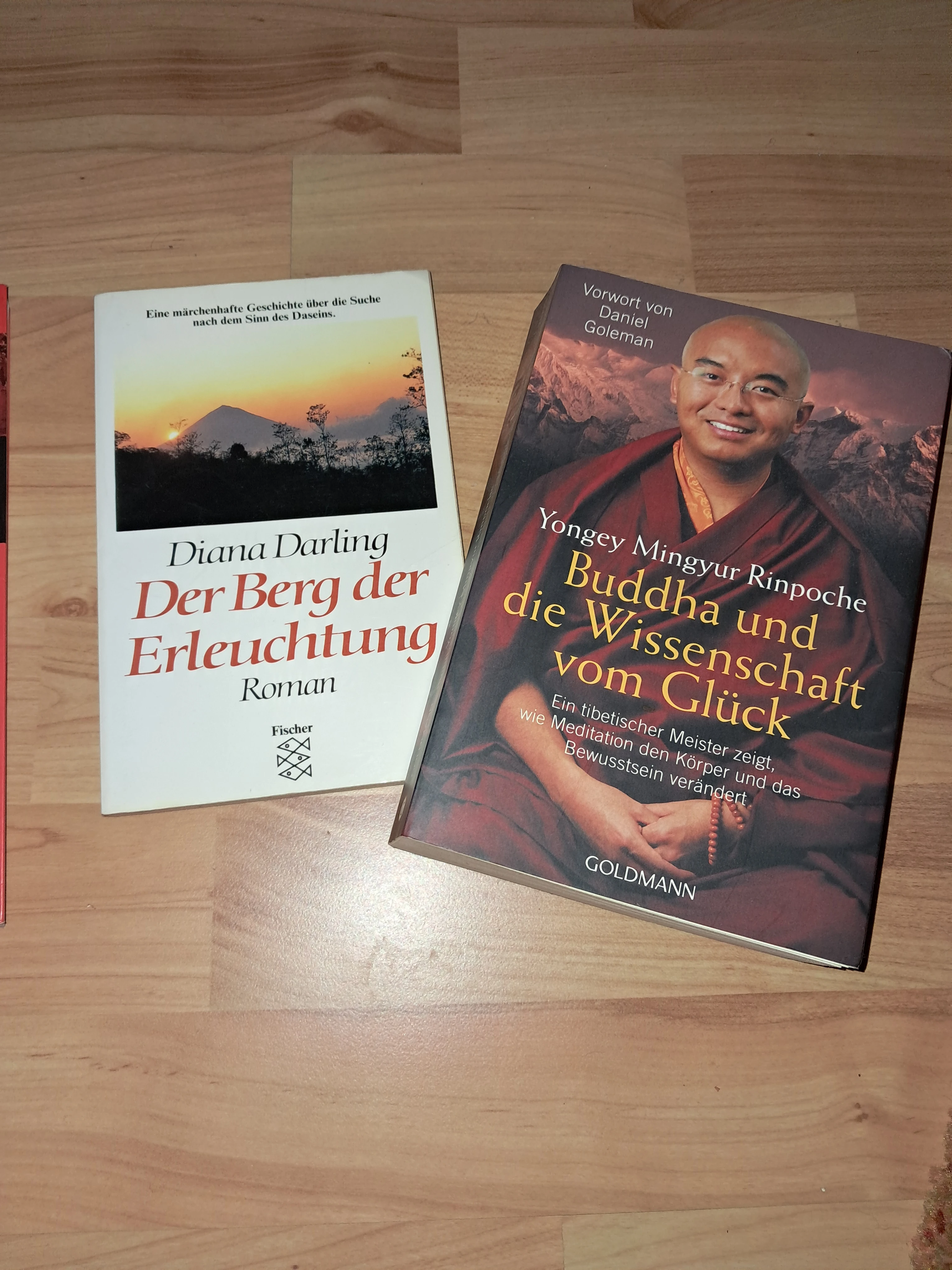 keine Beschreibung vorhanden