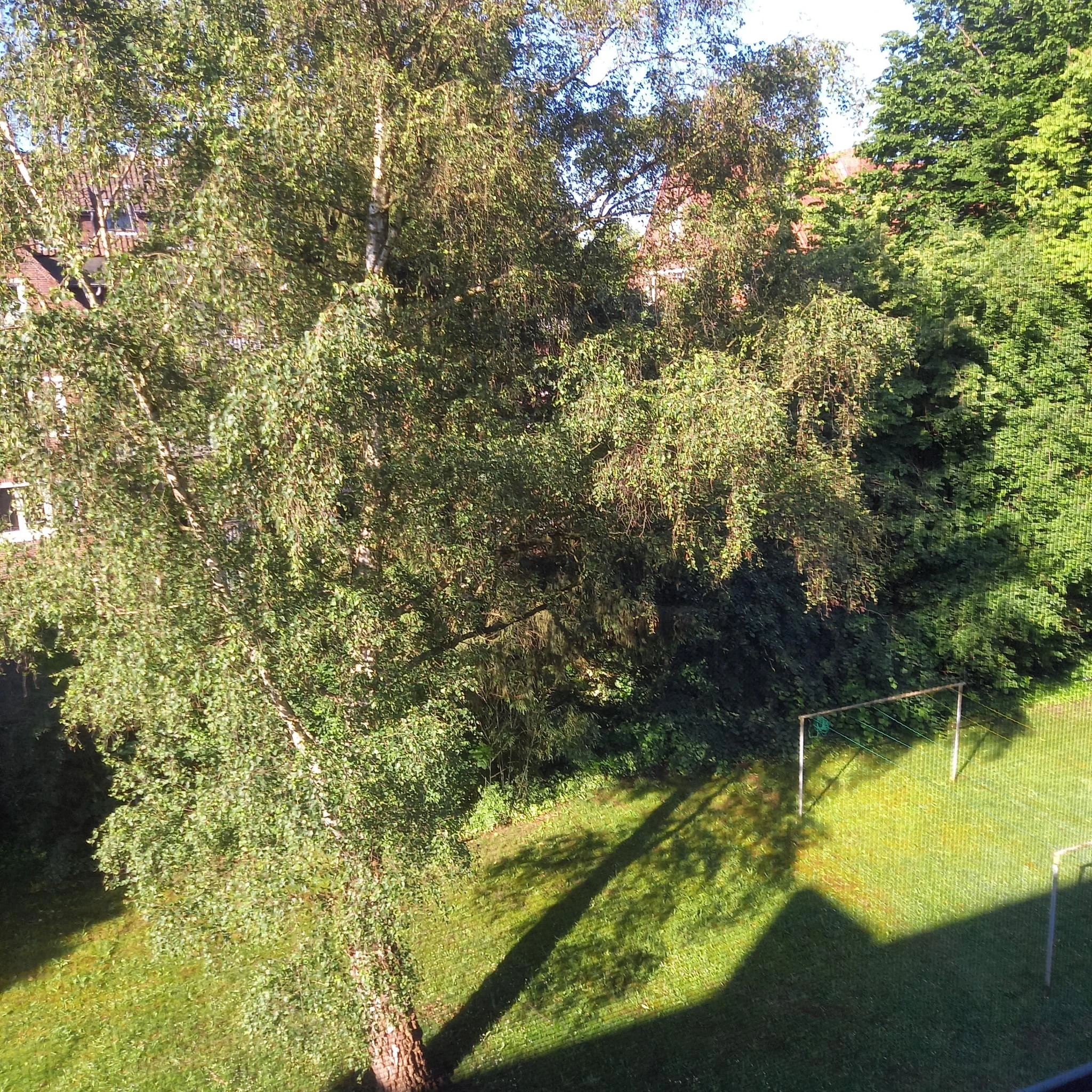 keine Beschreibung vorhanden