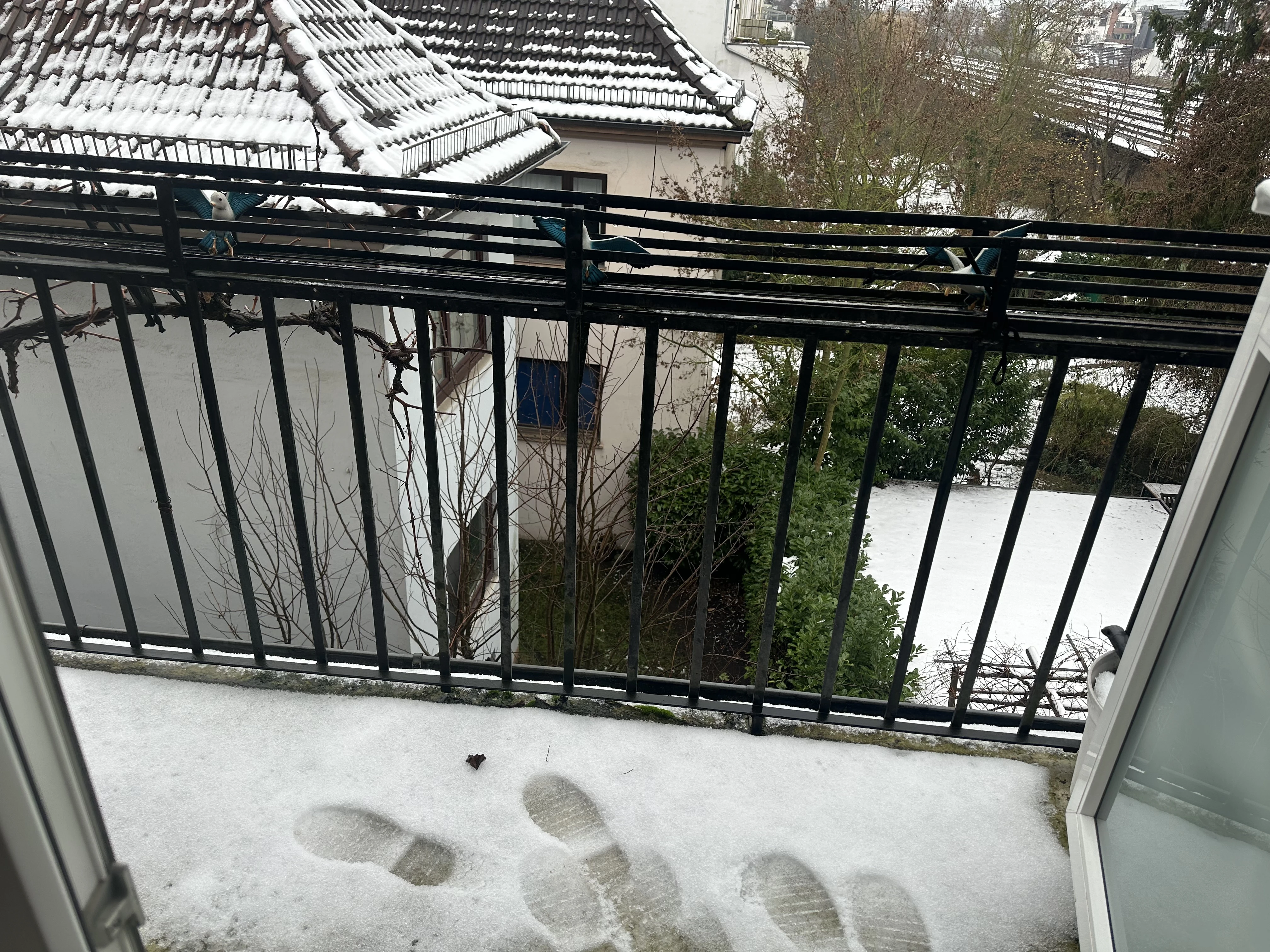 keine Beschreibung vorhanden