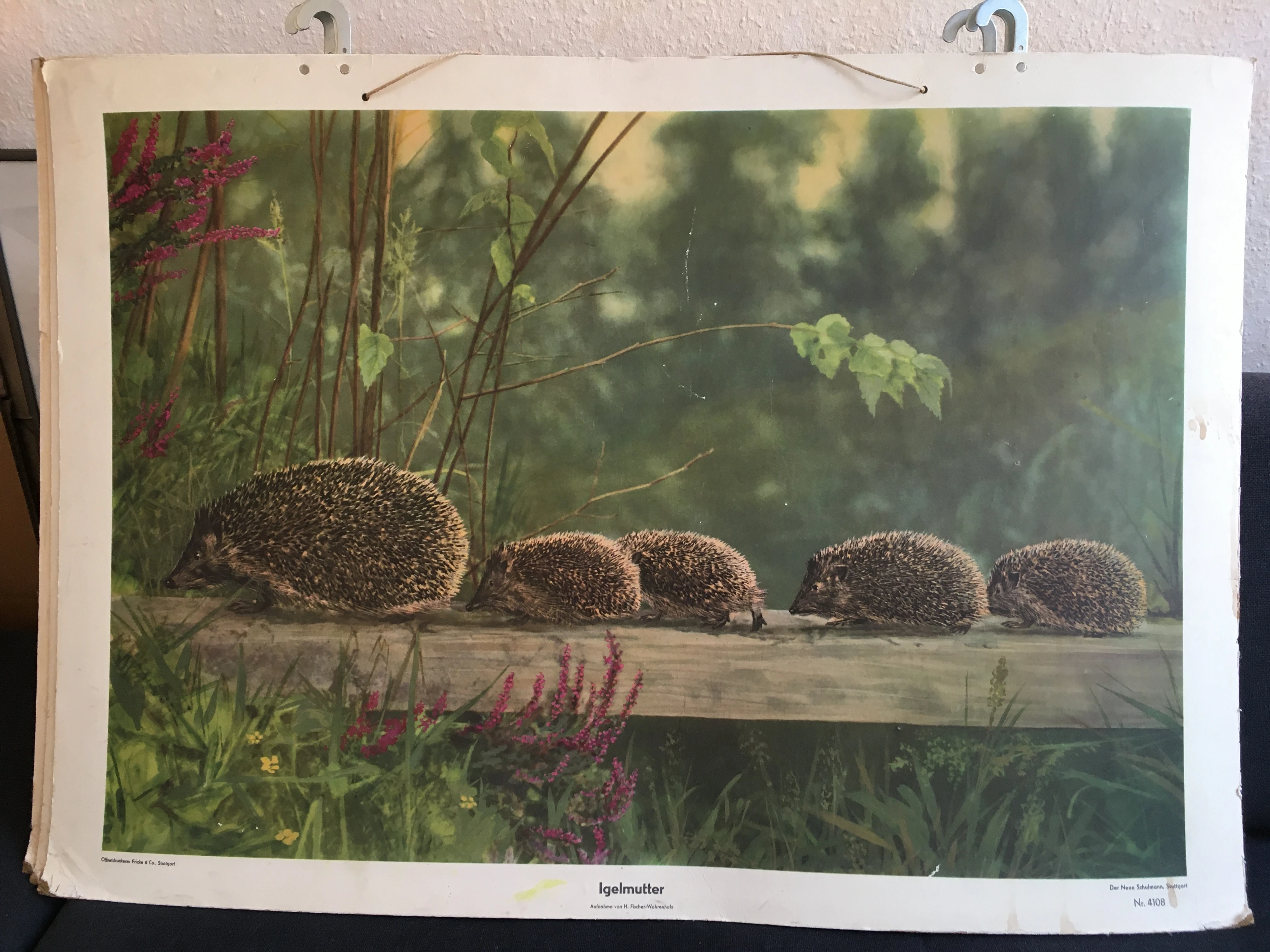 keine Beschreibung vorhanden