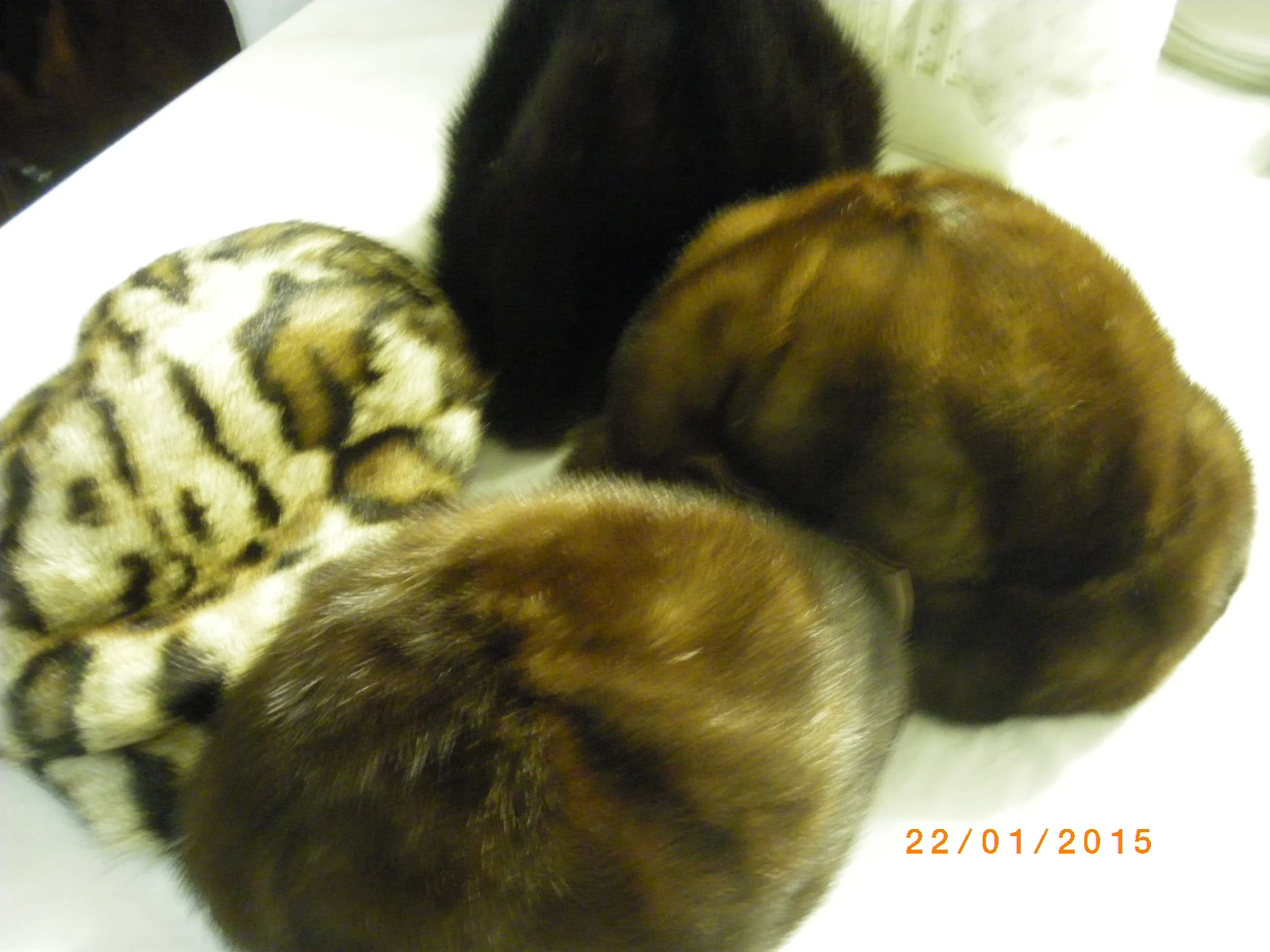 keine Beschreibung vorhanden