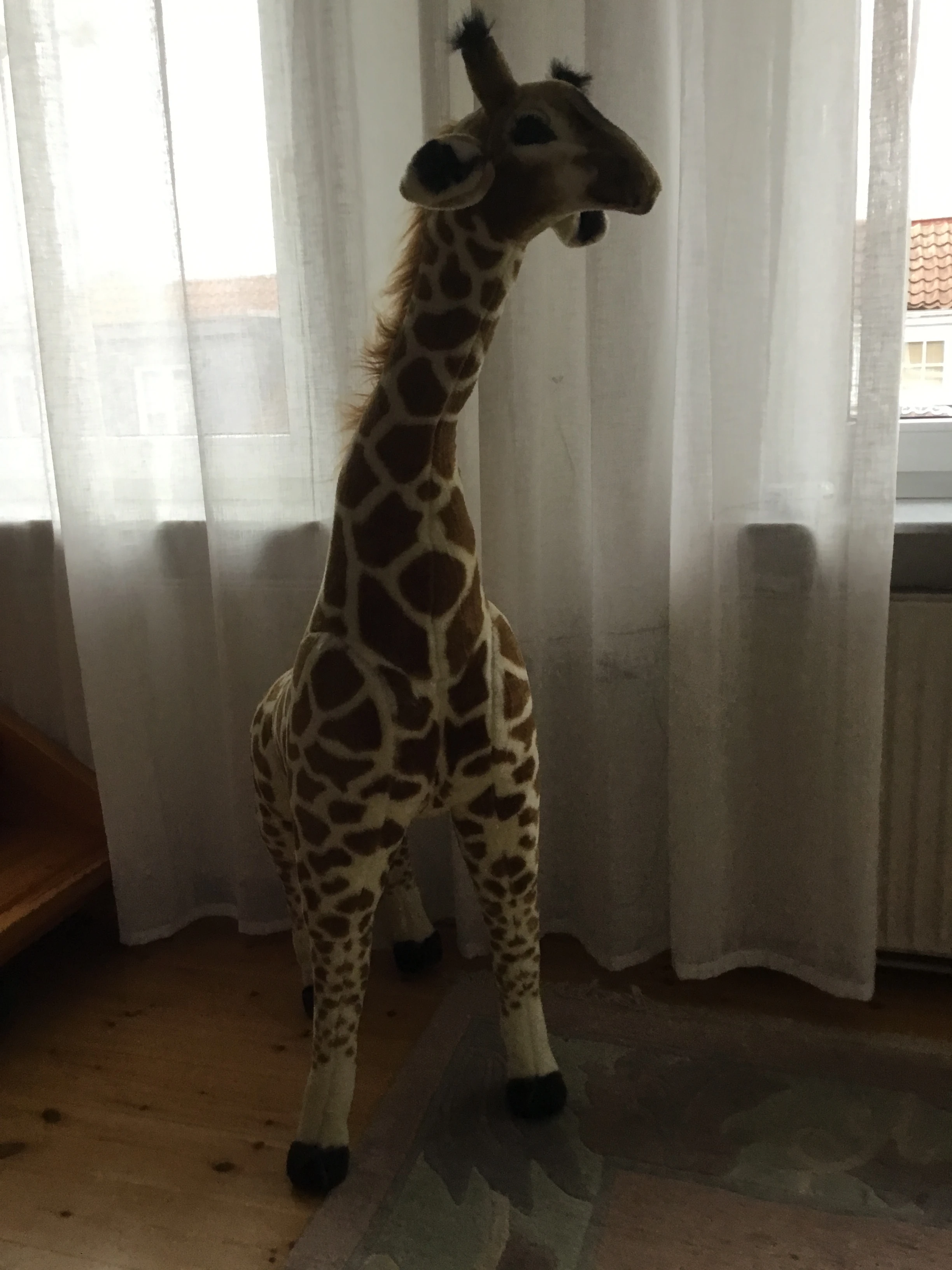 keine Beschreibung vorhanden