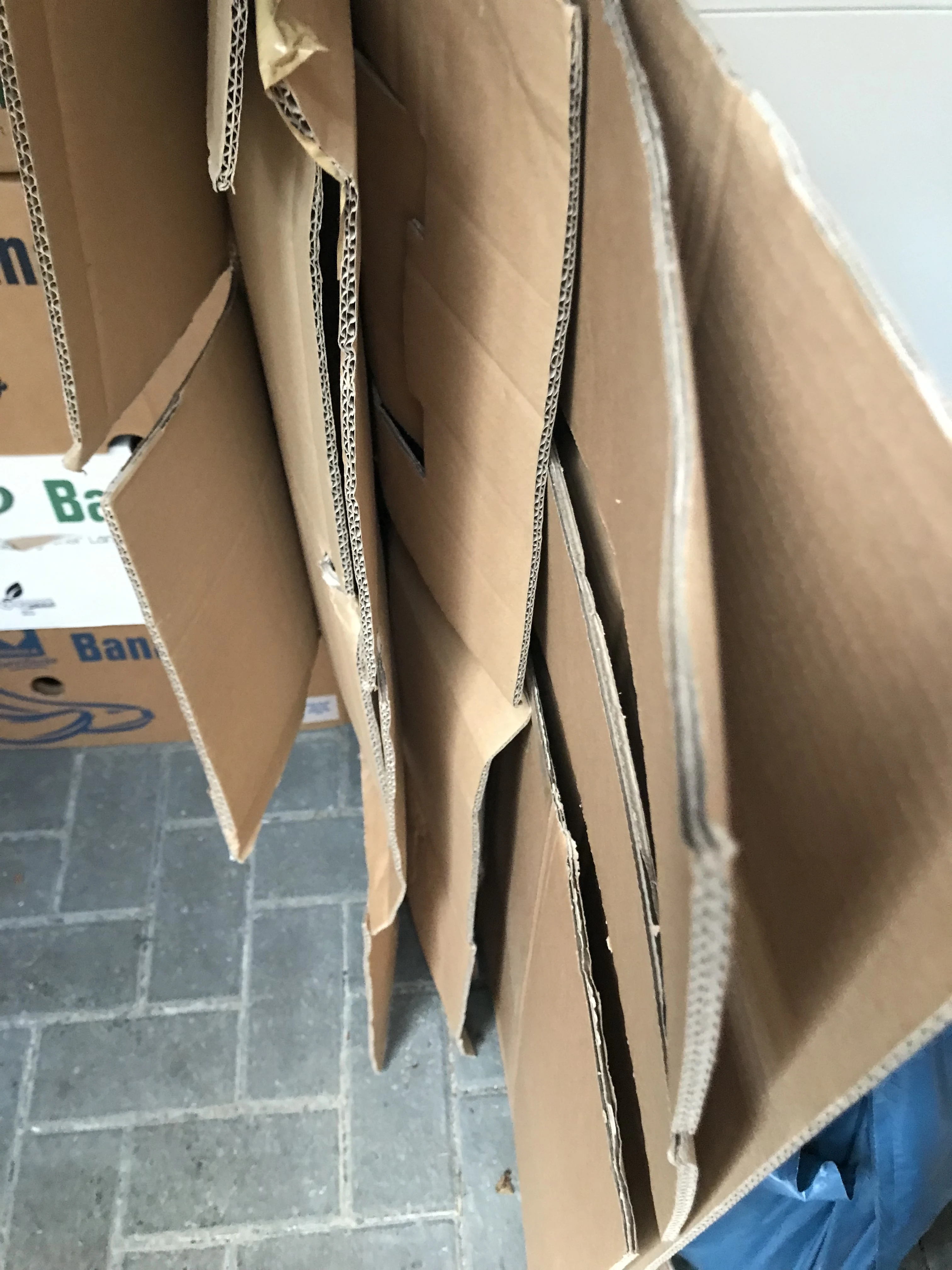 keine Beschreibung vorhanden