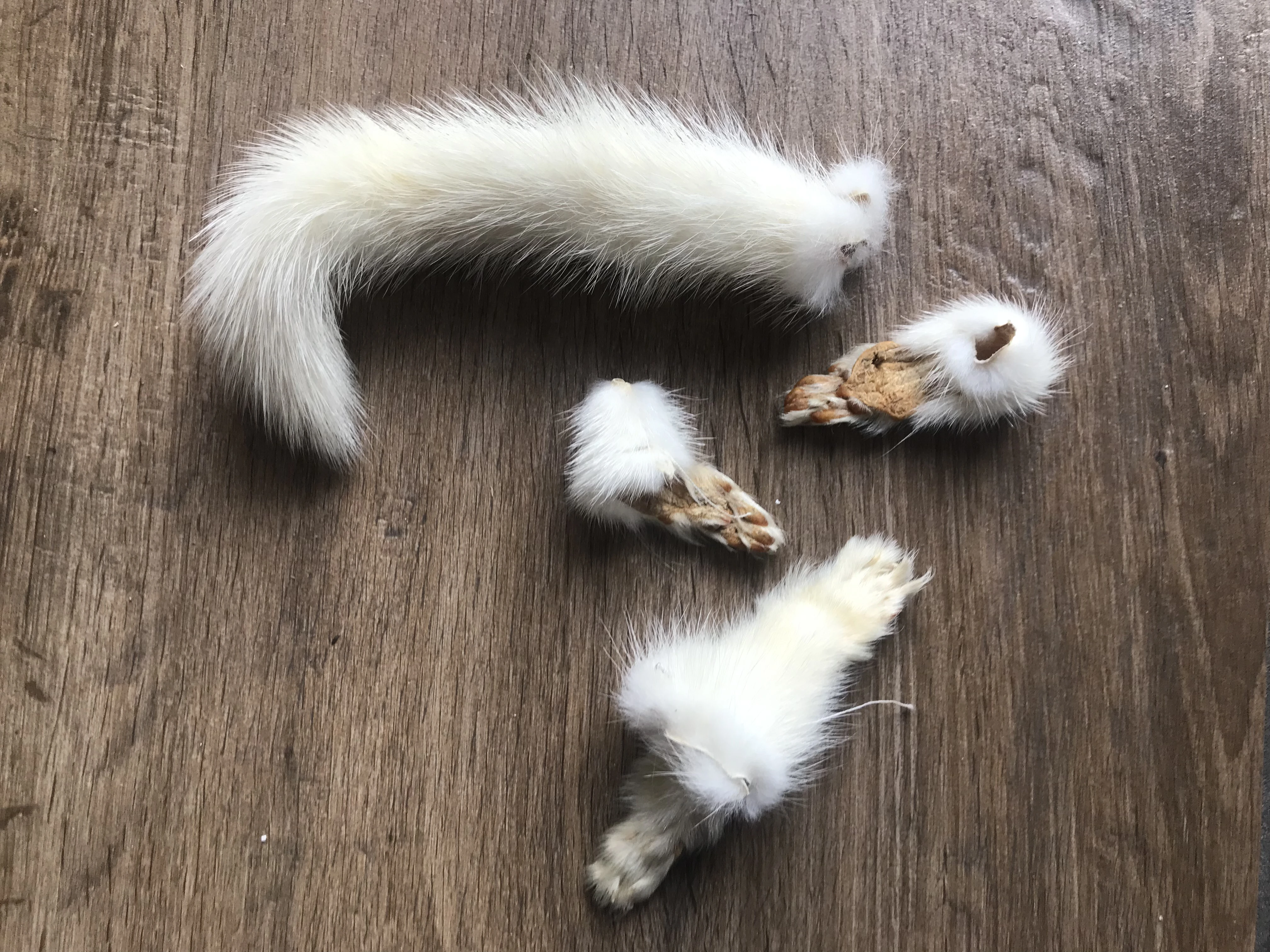 keine Beschreibung vorhanden