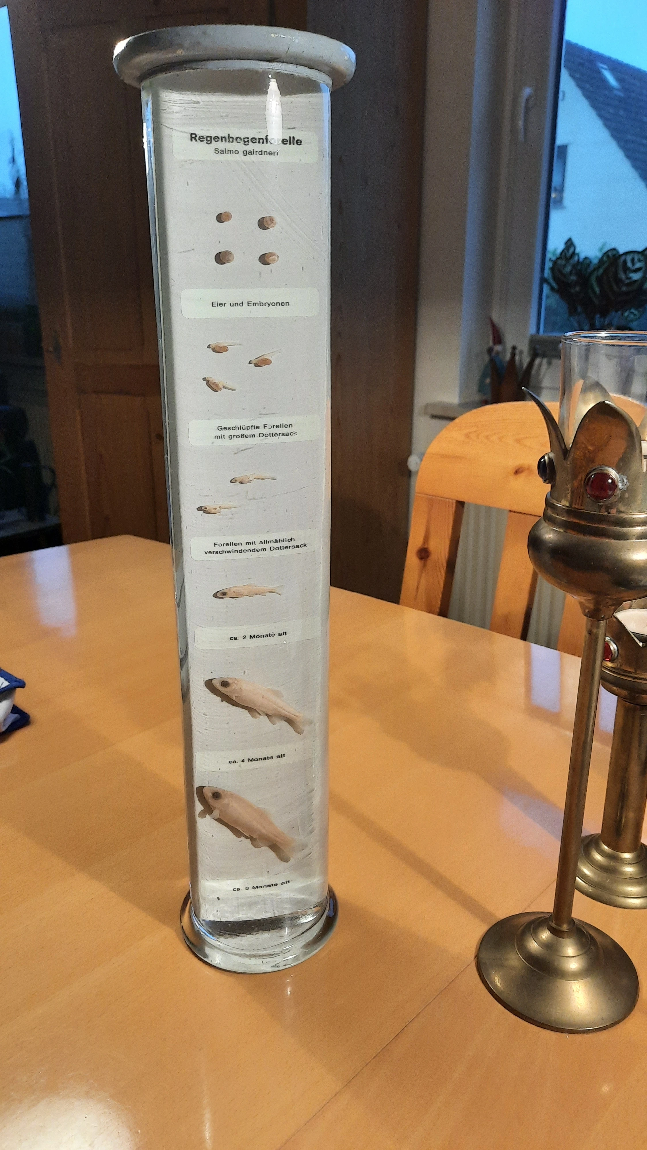 keine Beschreibung vorhanden