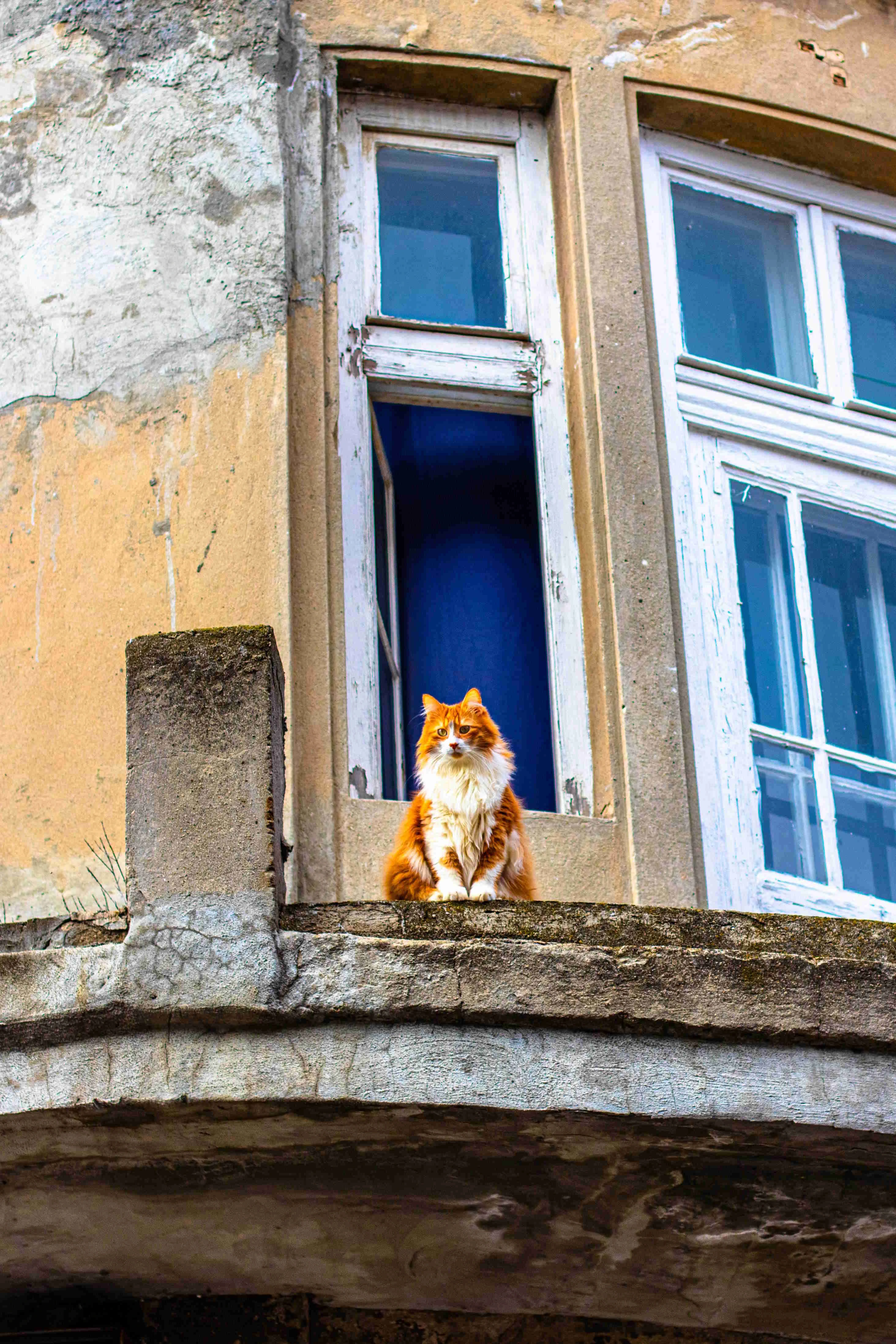 keine Beschreibung vorhanden