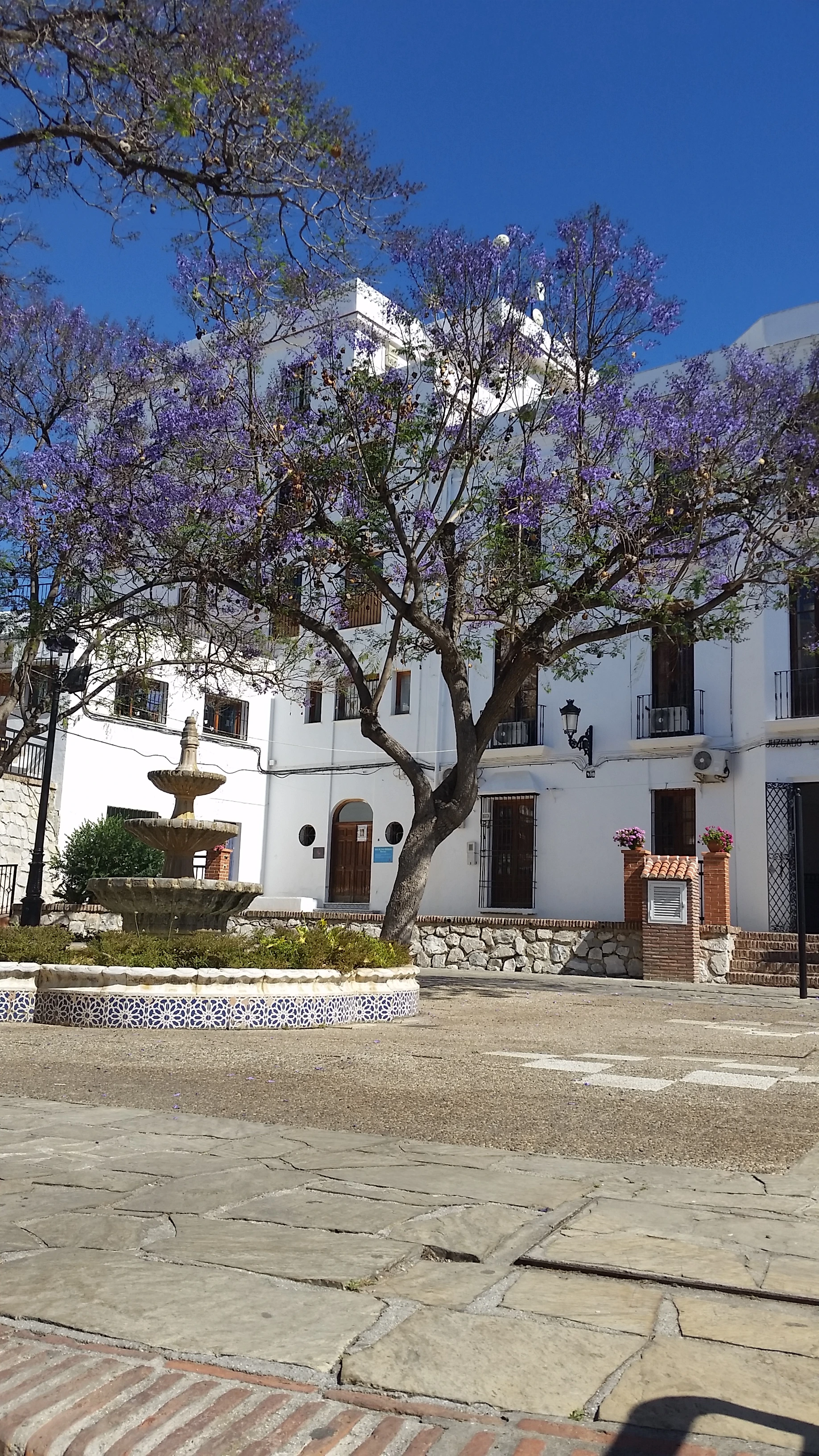 keine Beschreibung vorhanden