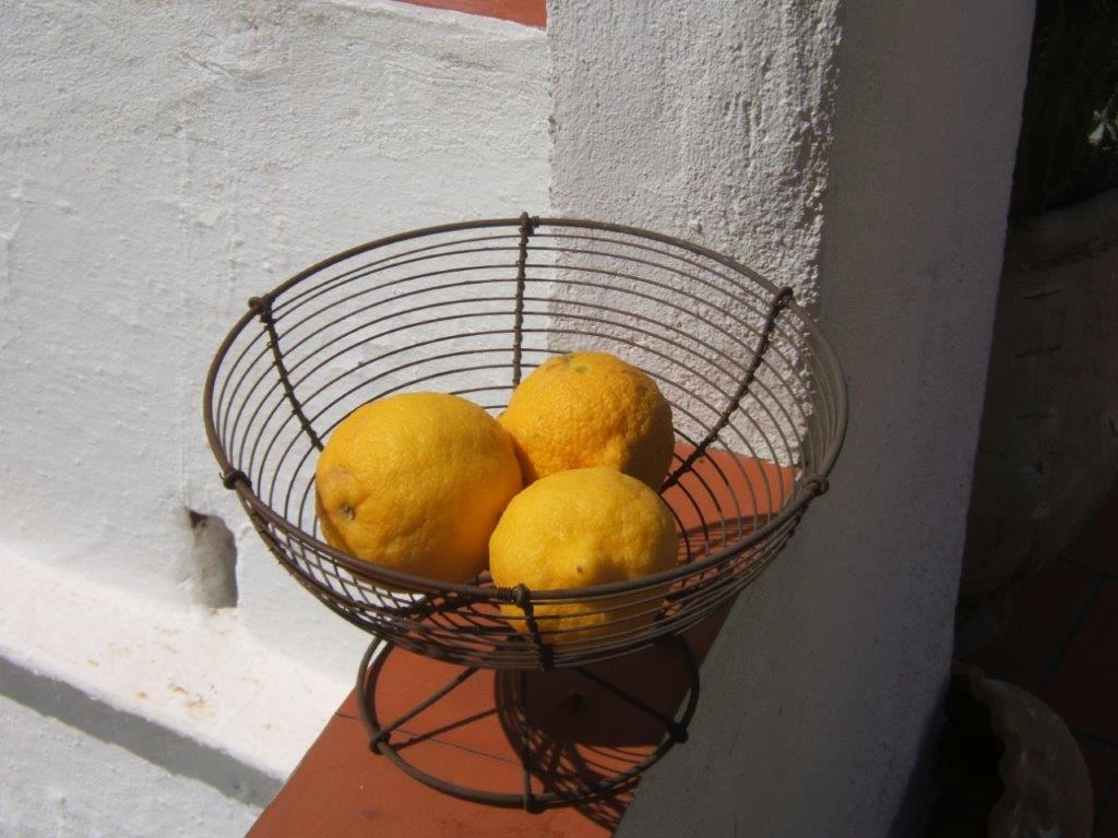 keine Beschreibung vorhanden