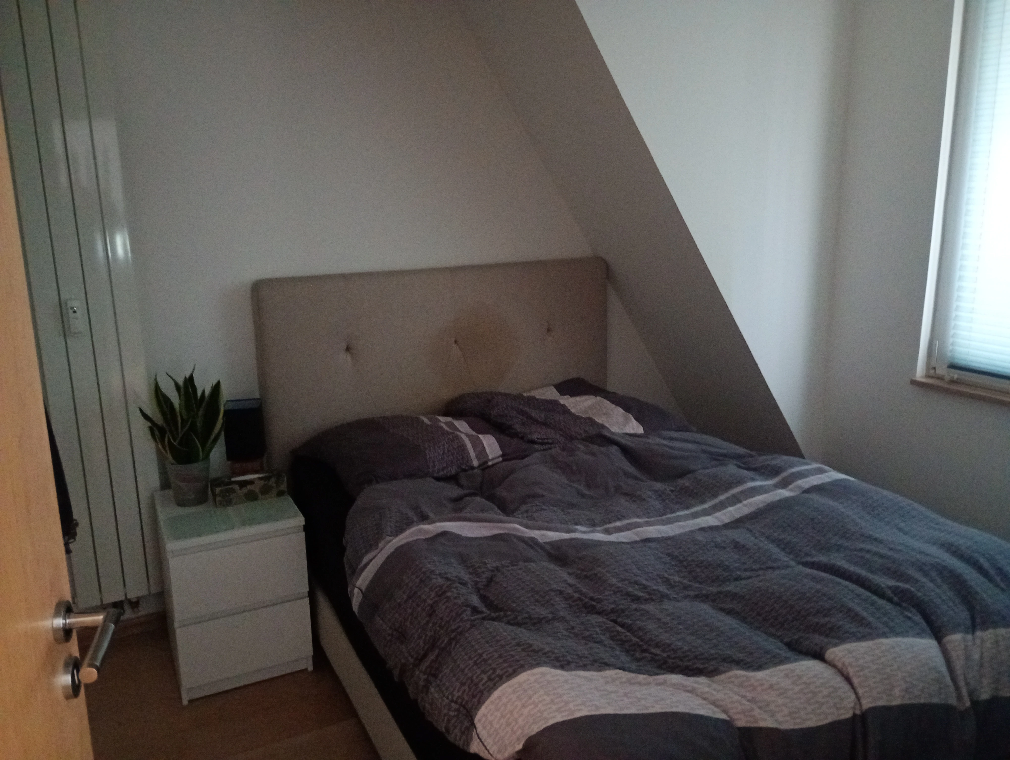 keine Beschreibung vorhanden