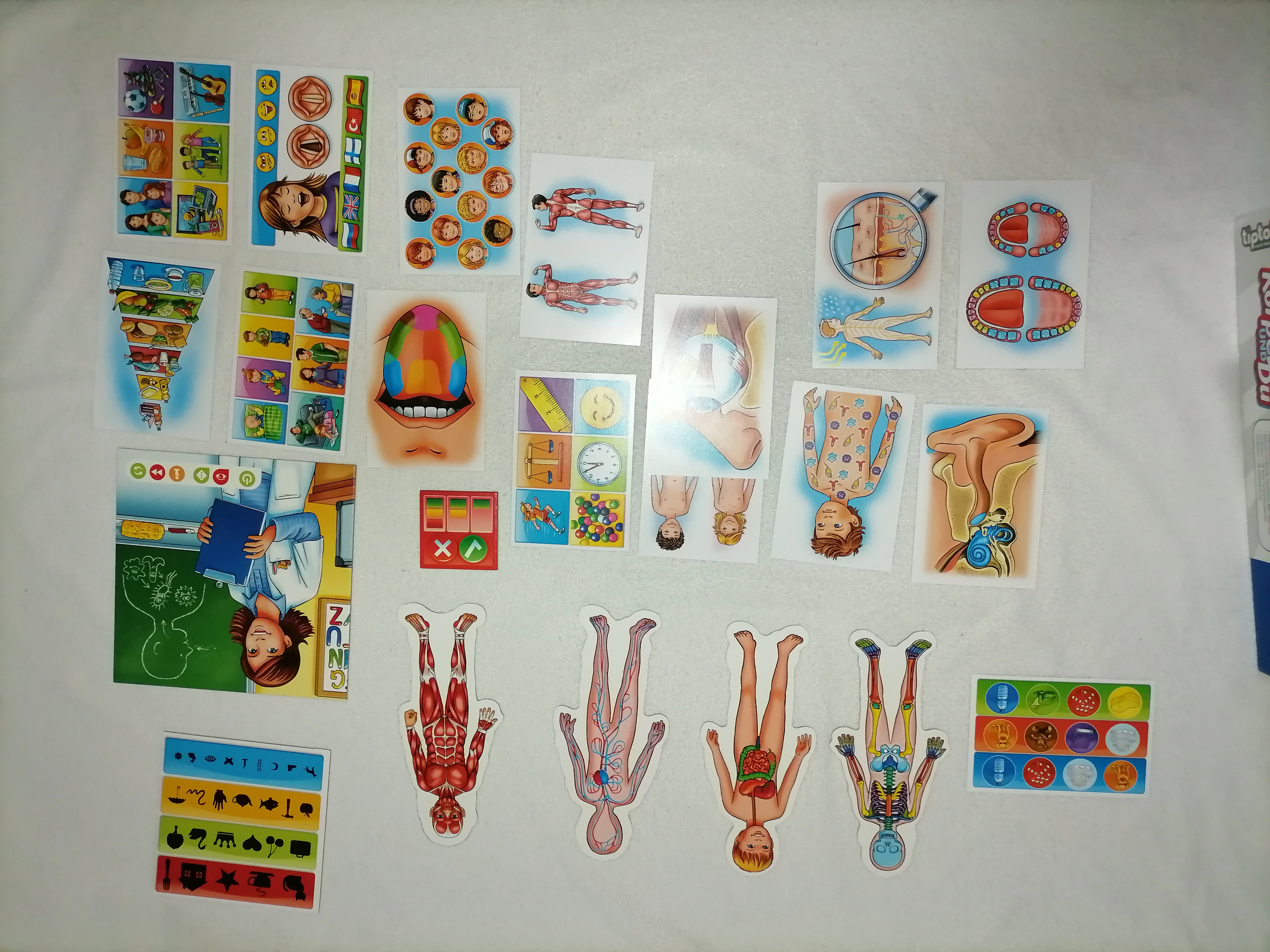 keine Beschreibung vorhanden