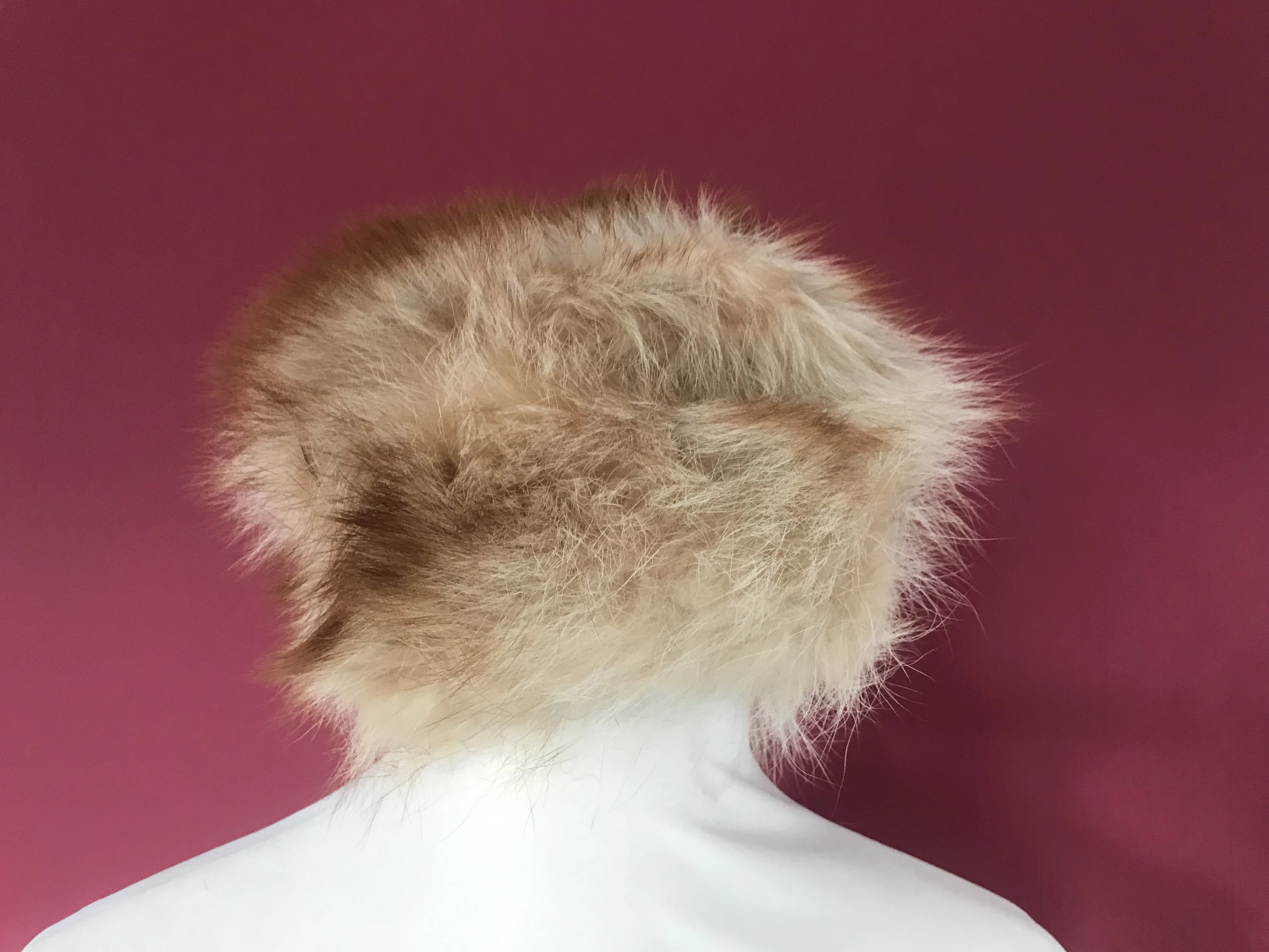 keine Beschreibung vorhanden