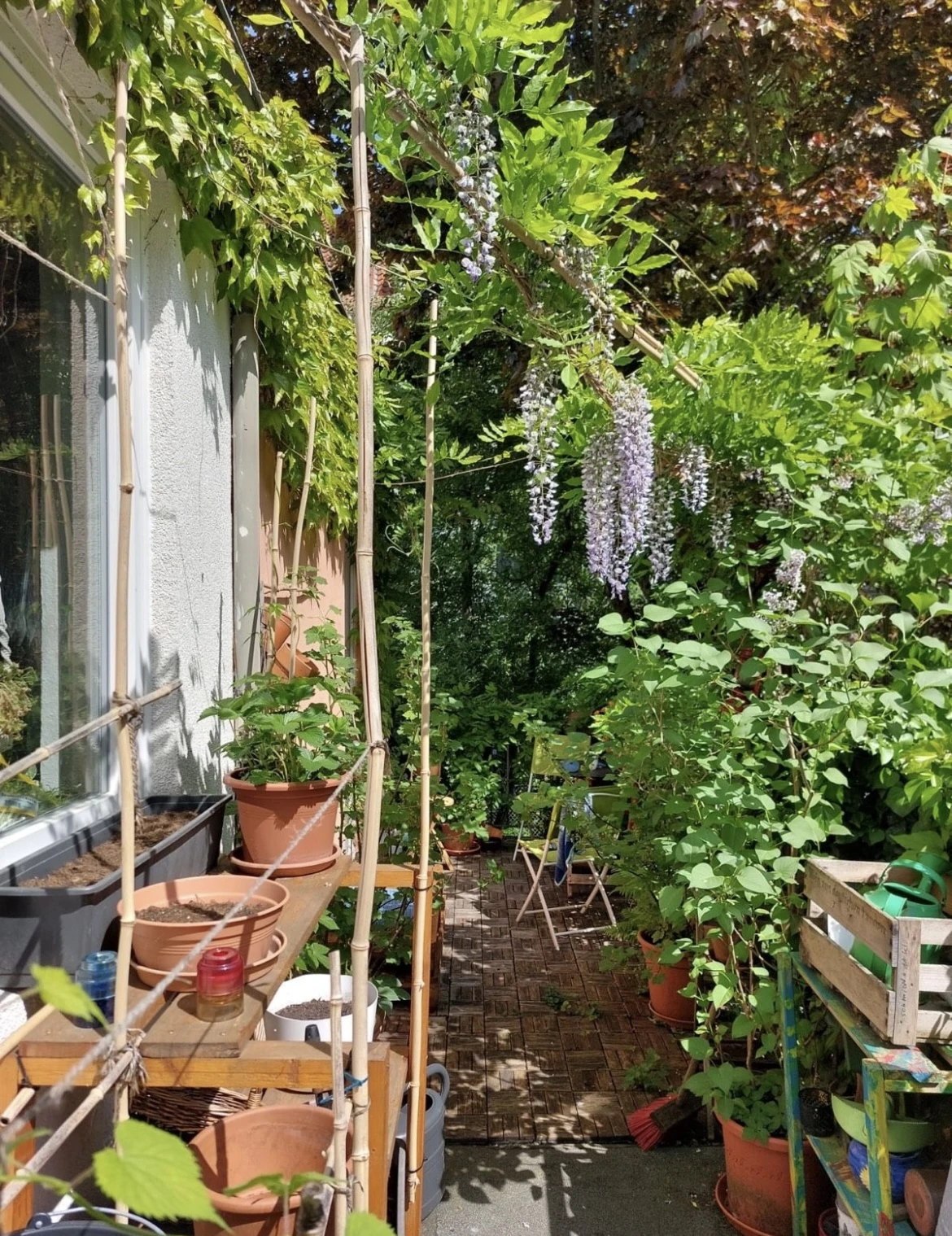 keine Beschreibung vorhanden