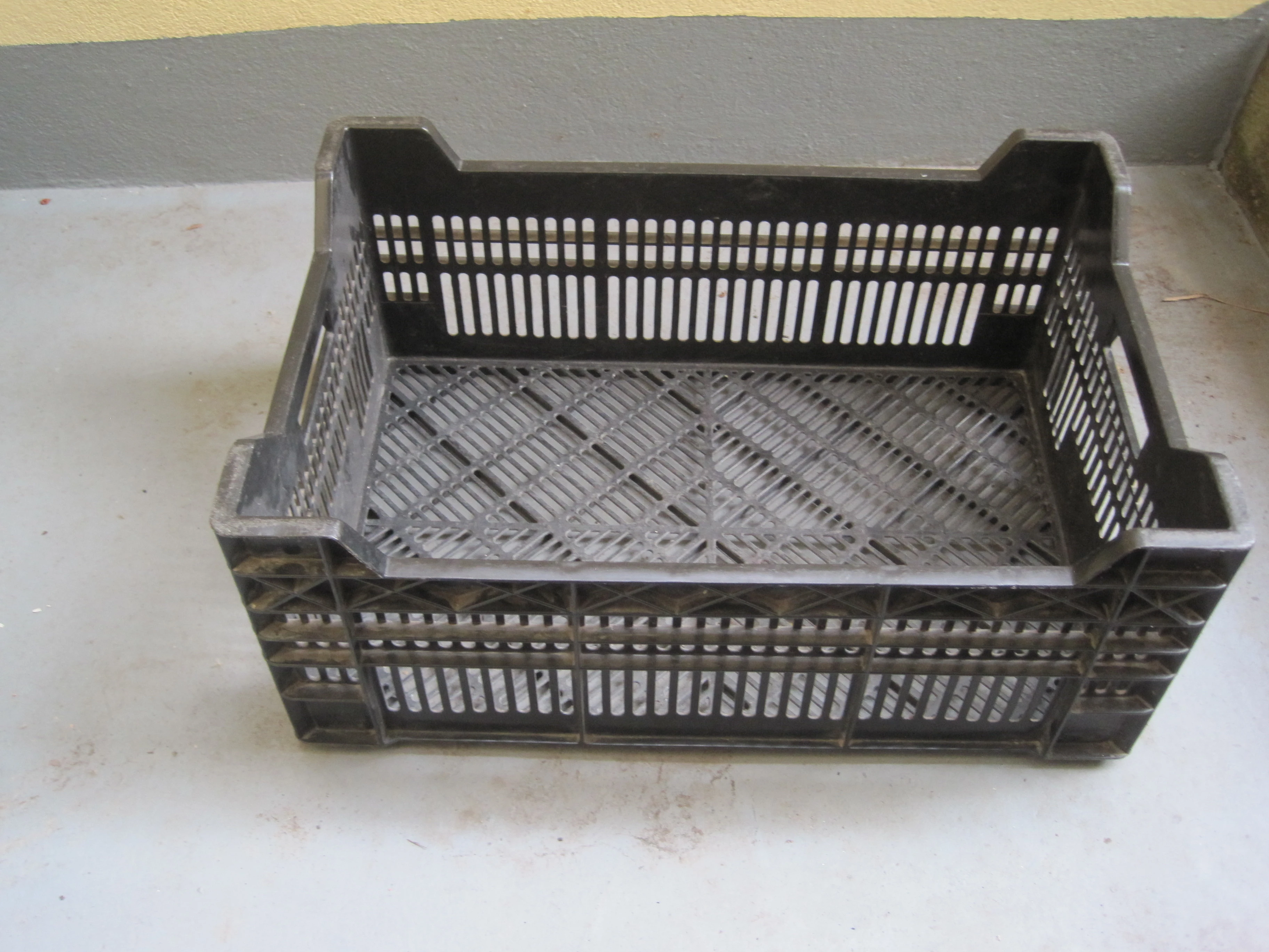 keine Beschreibung vorhanden