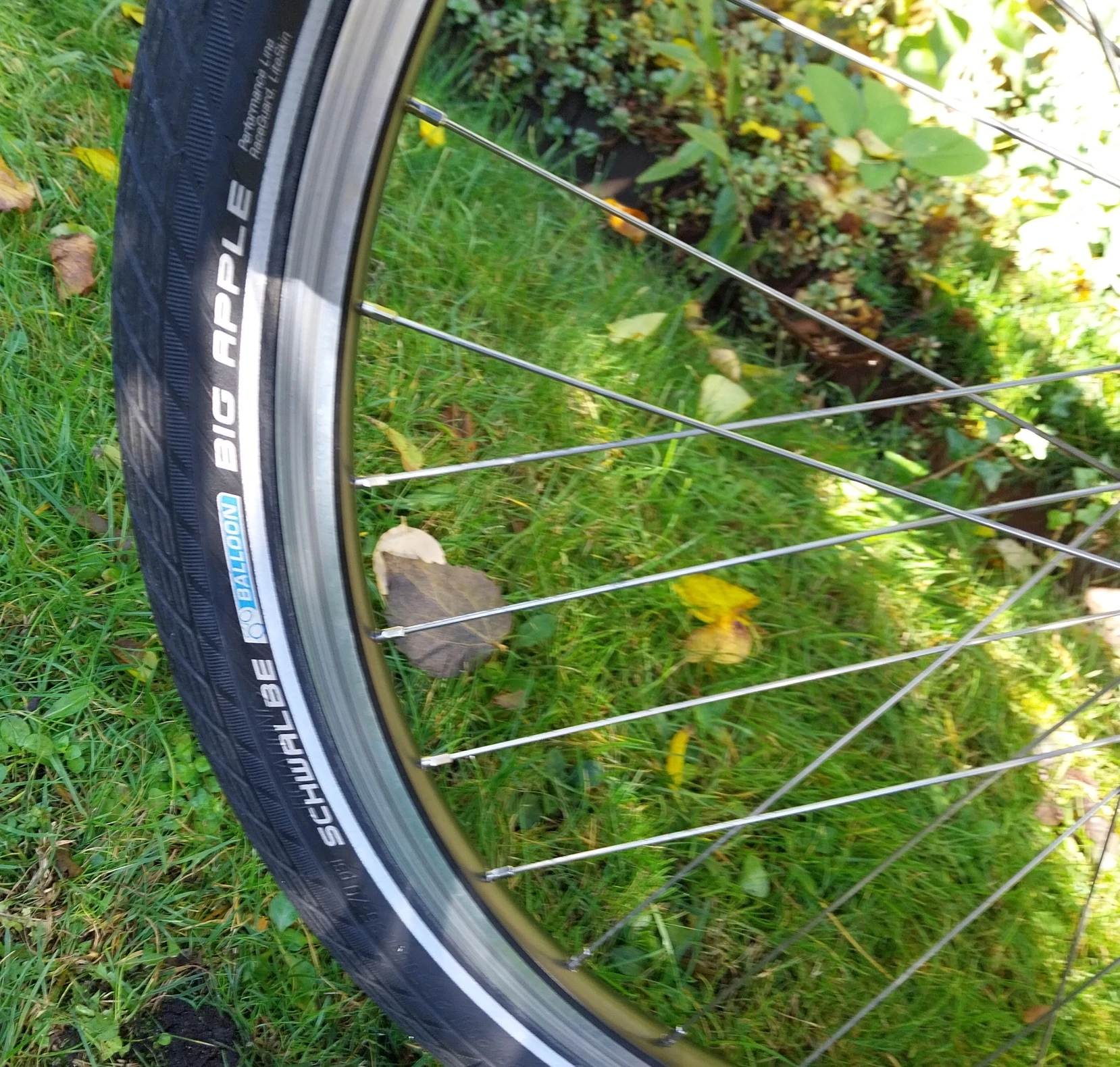 keine Beschreibung vorhanden