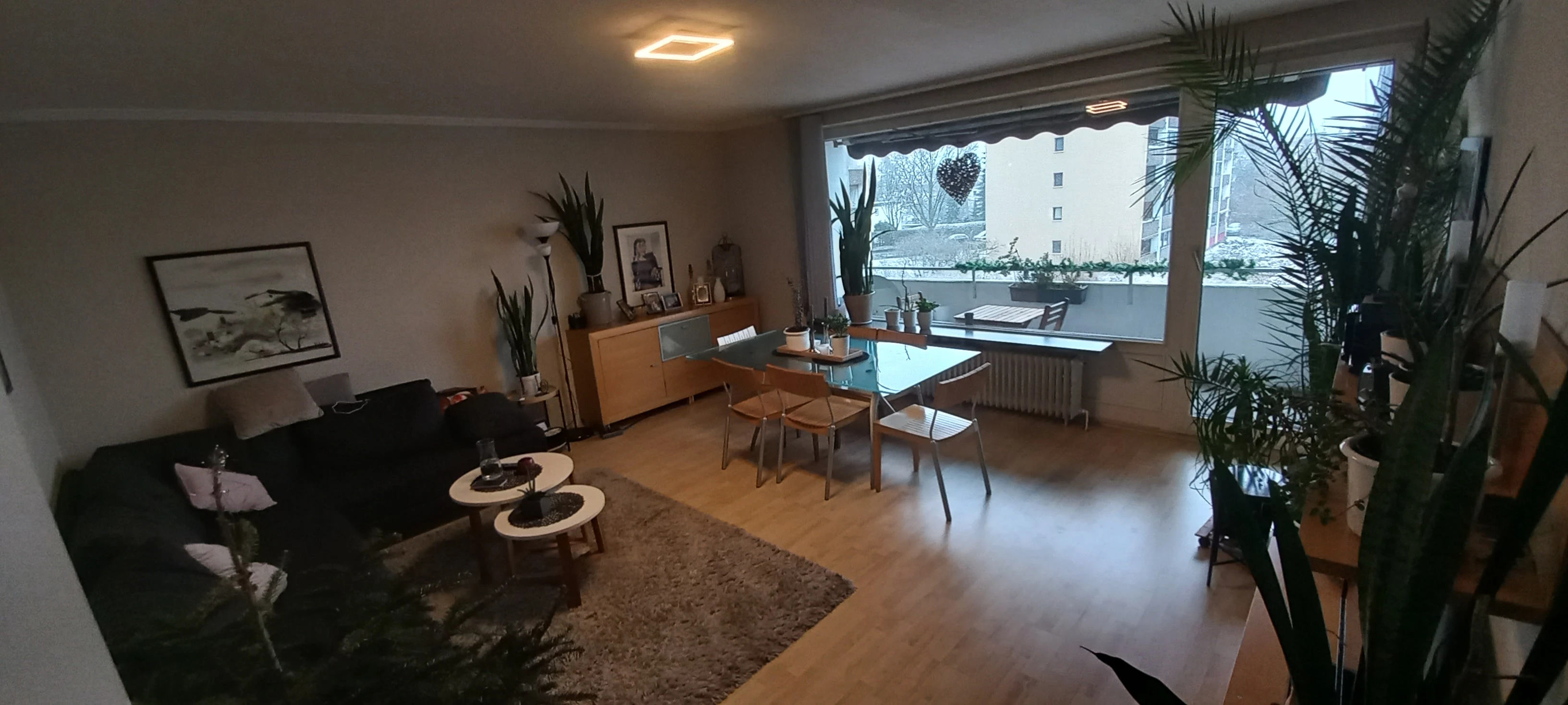 keine Beschreibung vorhanden