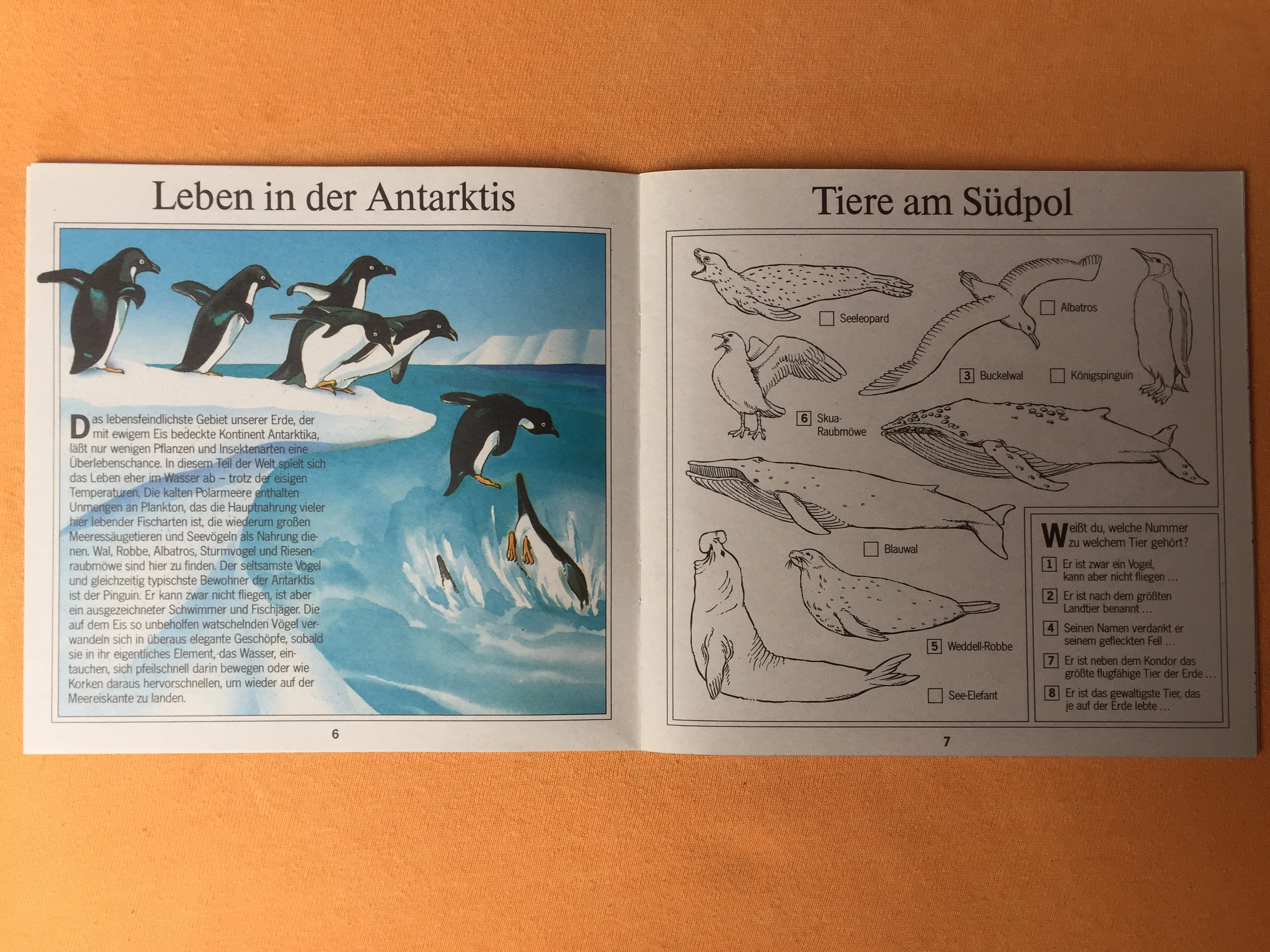 keine Beschreibung vorhanden