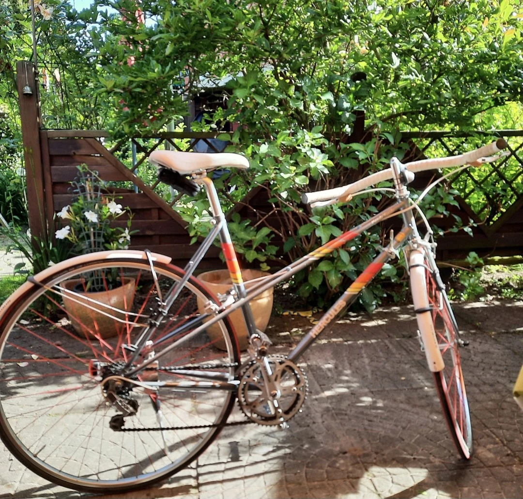 keine Beschreibung vorhanden