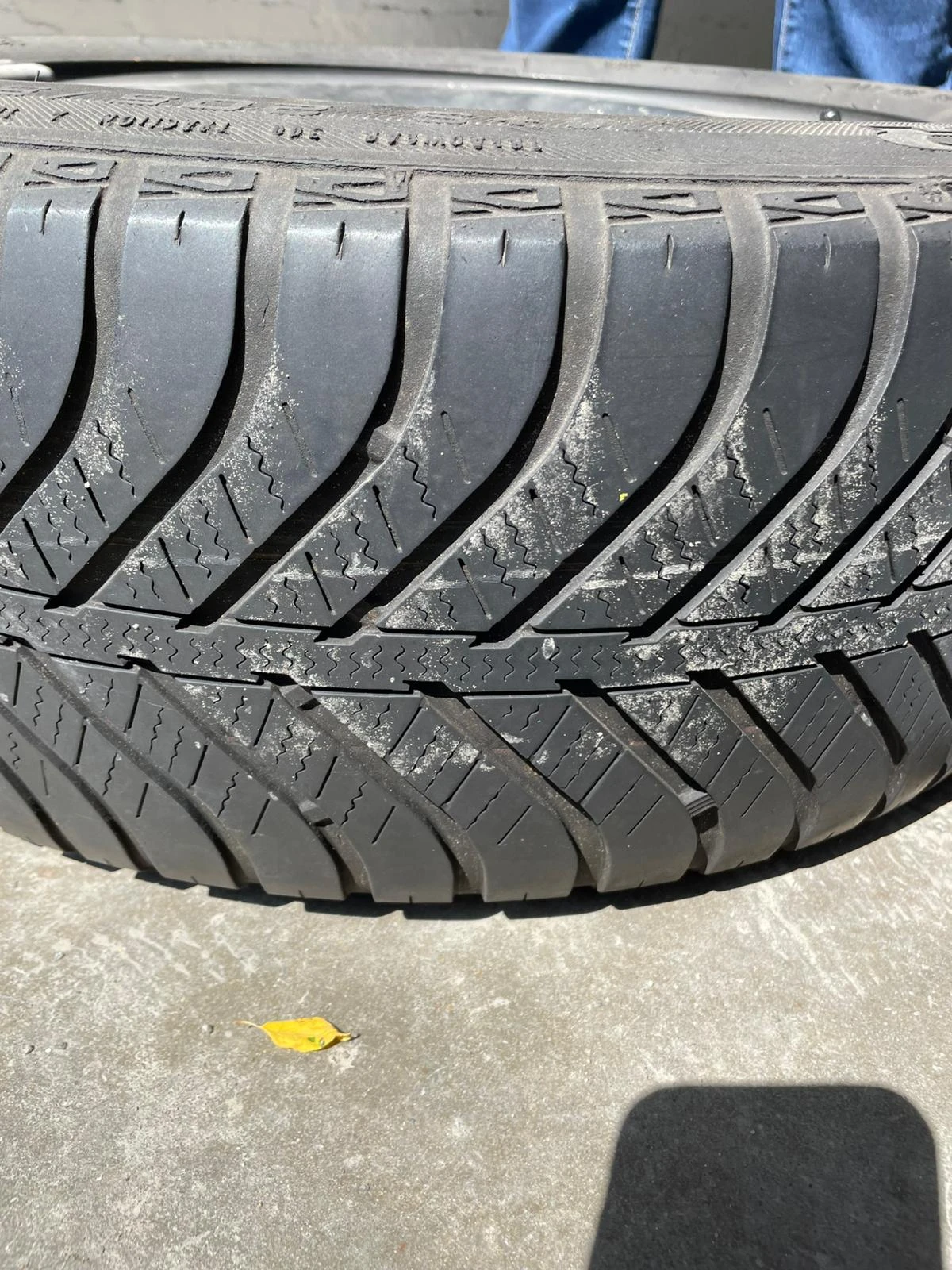 keine Beschreibung vorhanden