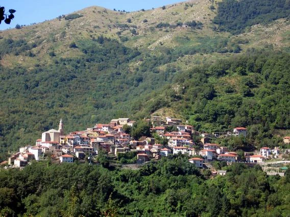 keine Beschreibung vorhanden