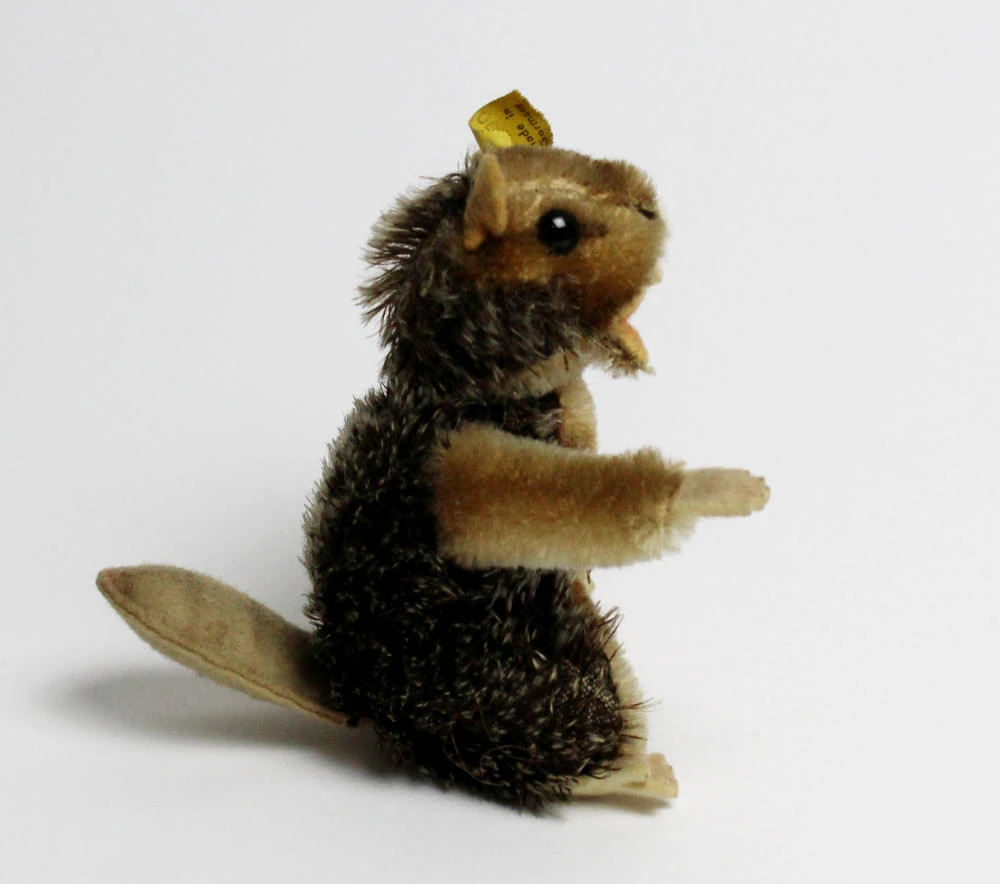 keine Beschreibung vorhanden