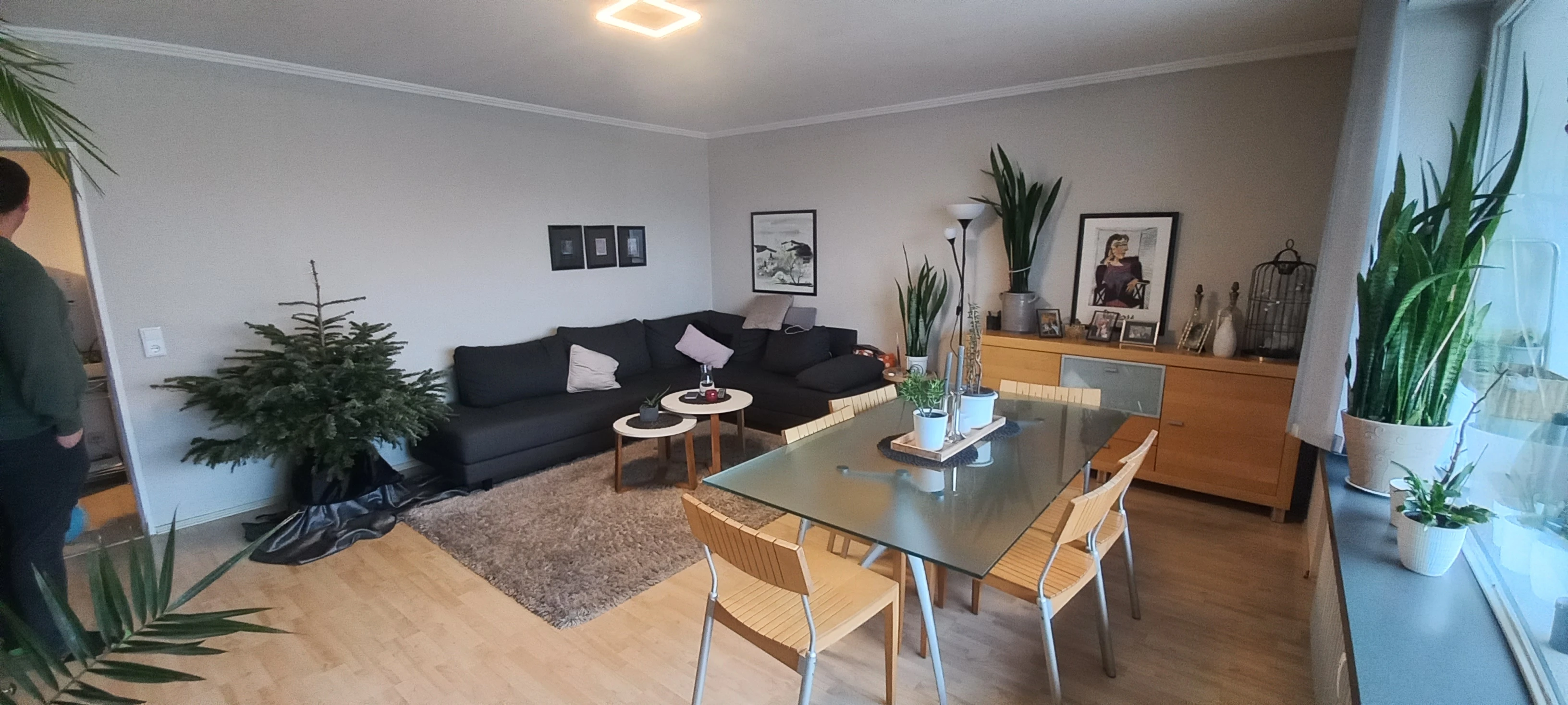 keine Beschreibung vorhanden