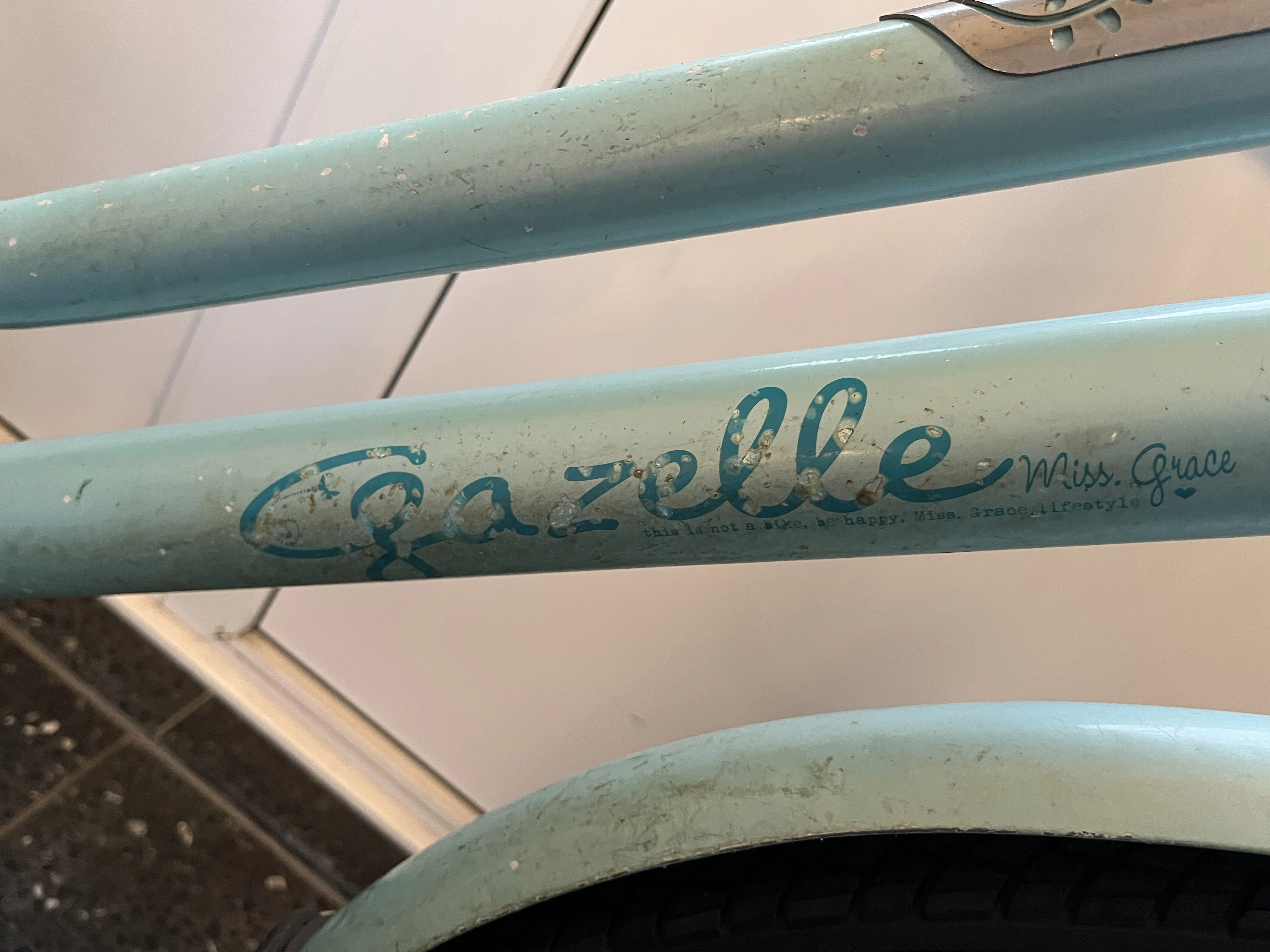 keine Beschreibung vorhanden