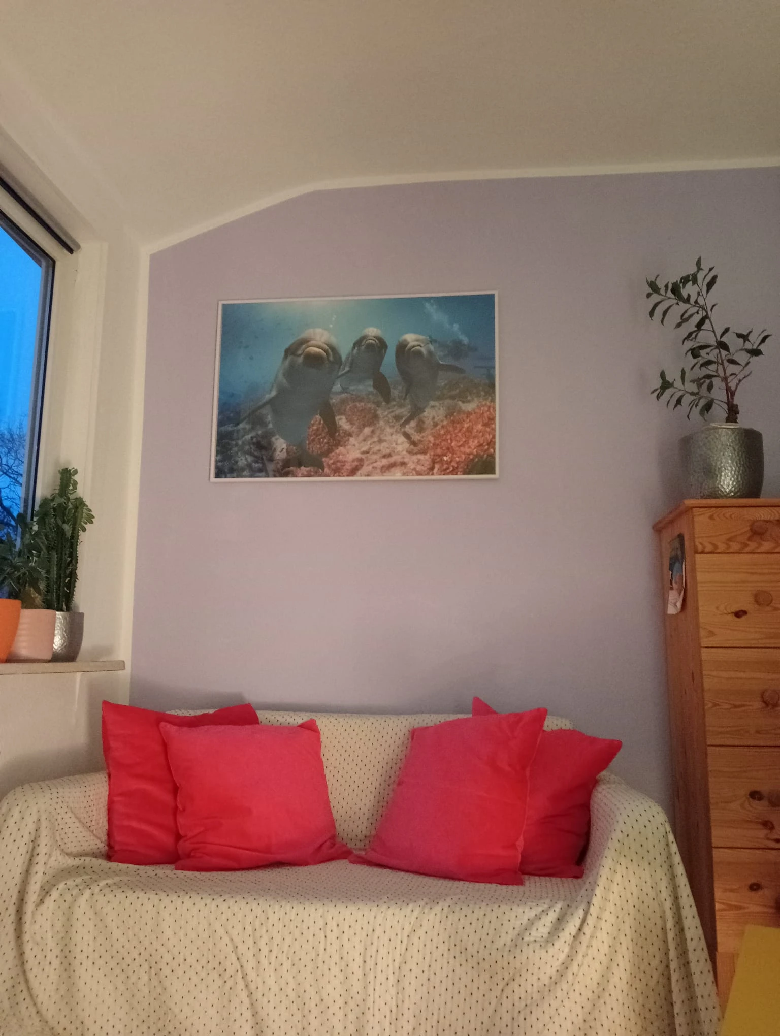 keine Beschreibung vorhanden