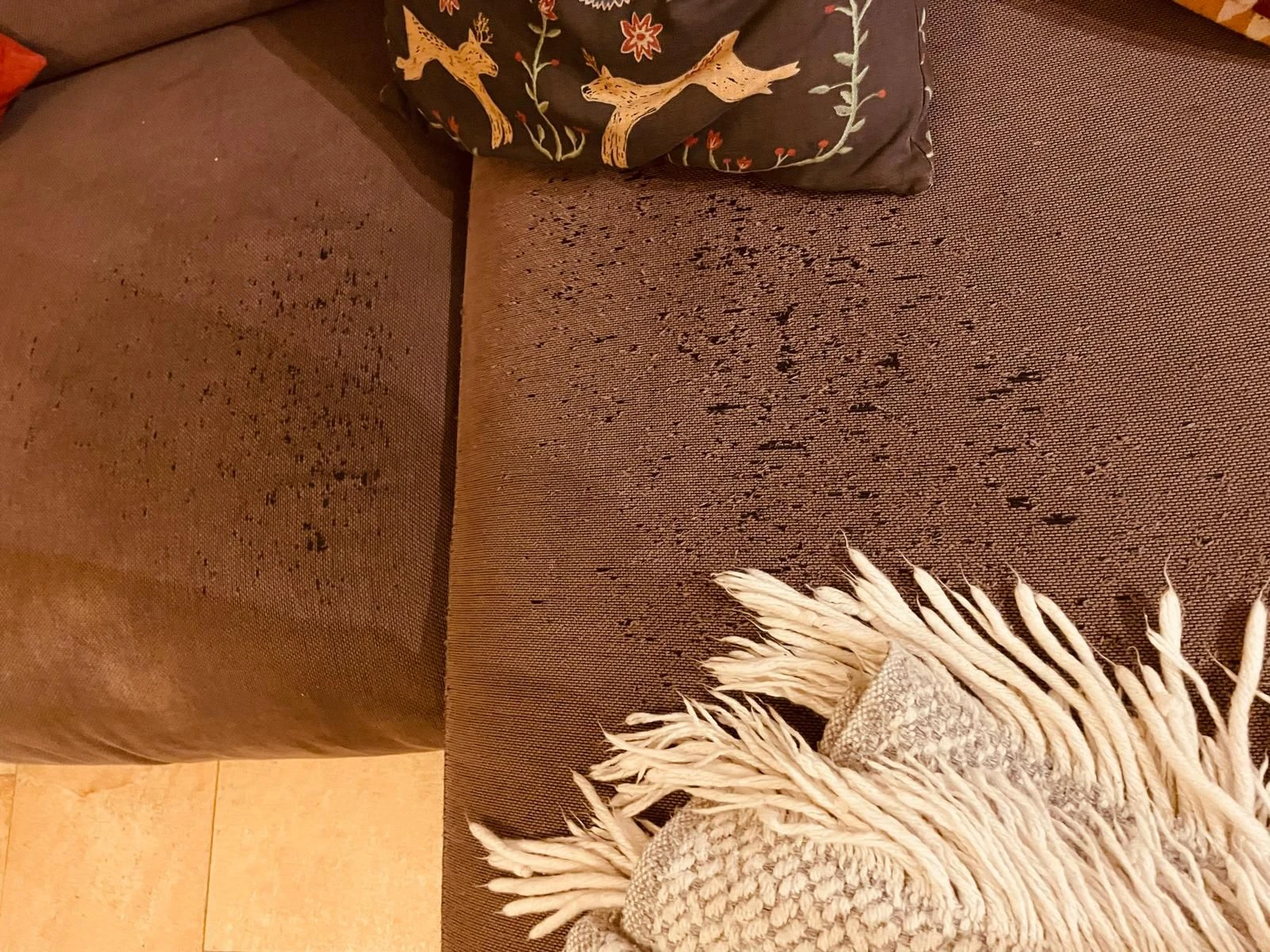 keine Beschreibung vorhanden