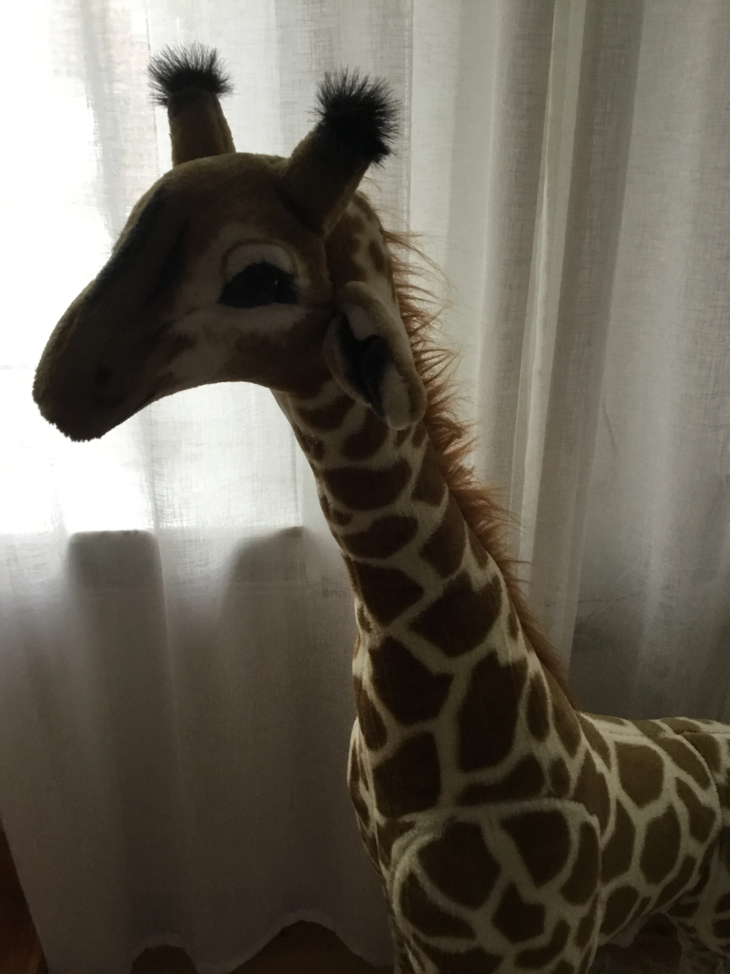 keine Beschreibung vorhanden