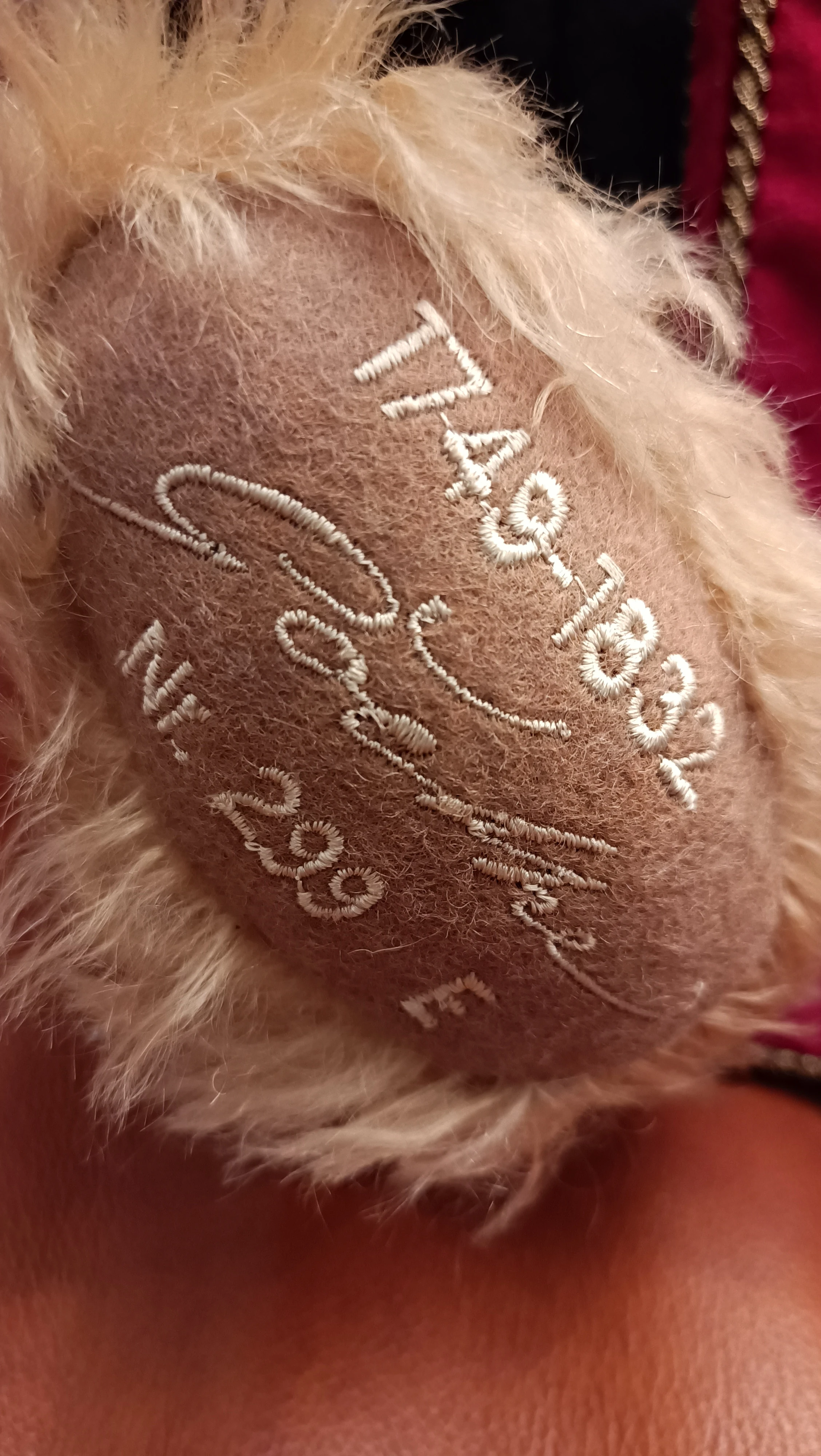 keine Beschreibung vorhanden