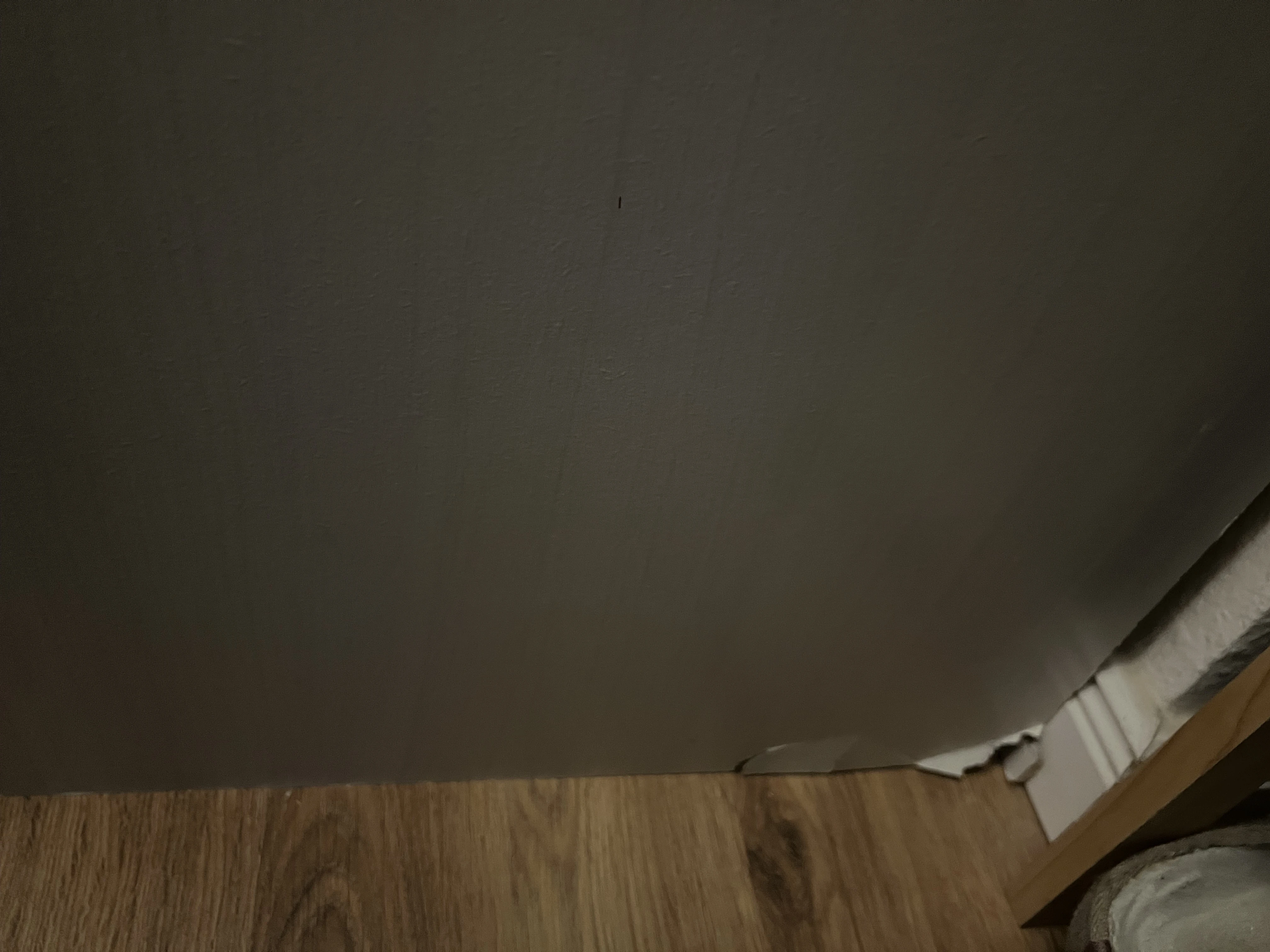 keine Beschreibung vorhanden