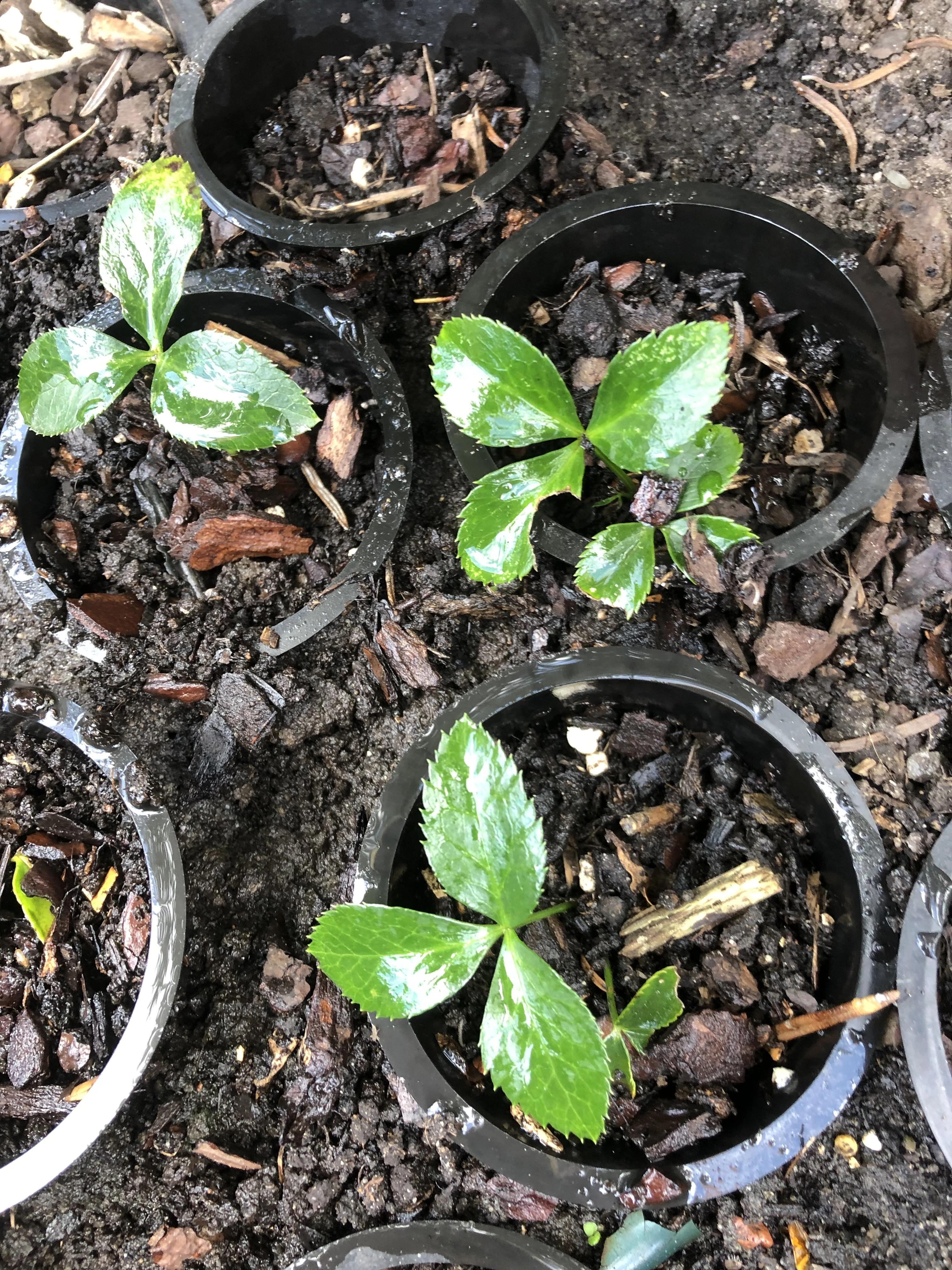 keine Beschreibung vorhanden