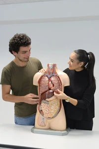 keine Beschreibung vorhanden