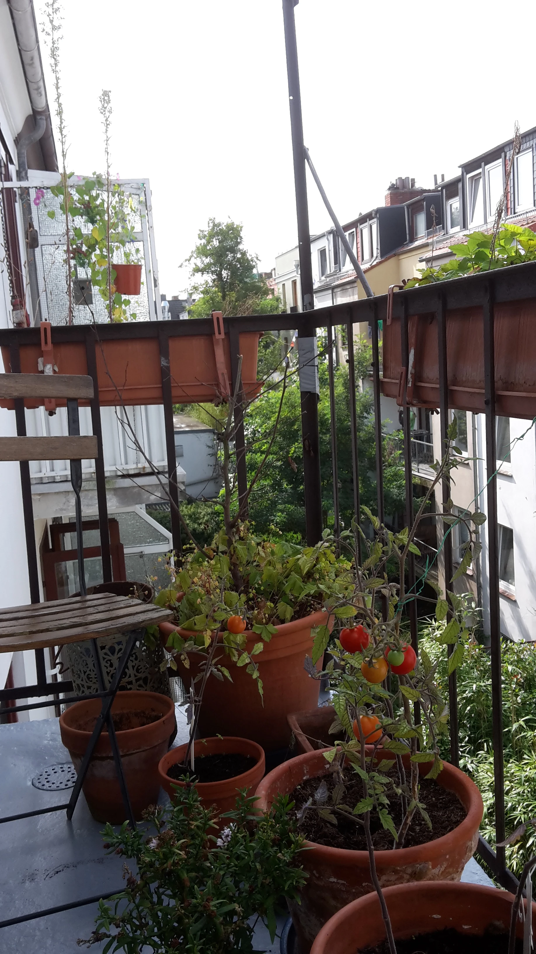 keine Beschreibung vorhanden