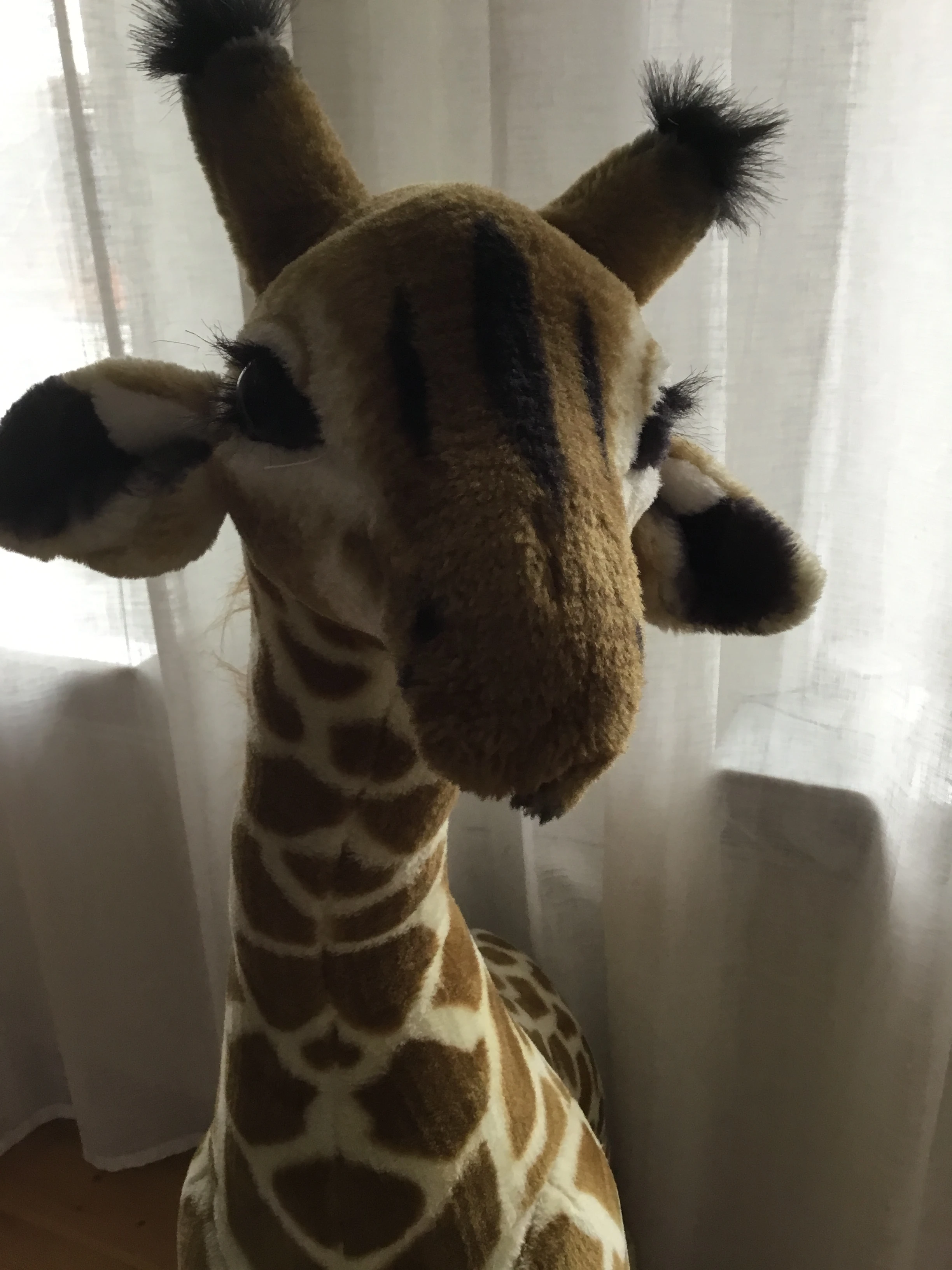 keine Beschreibung vorhanden