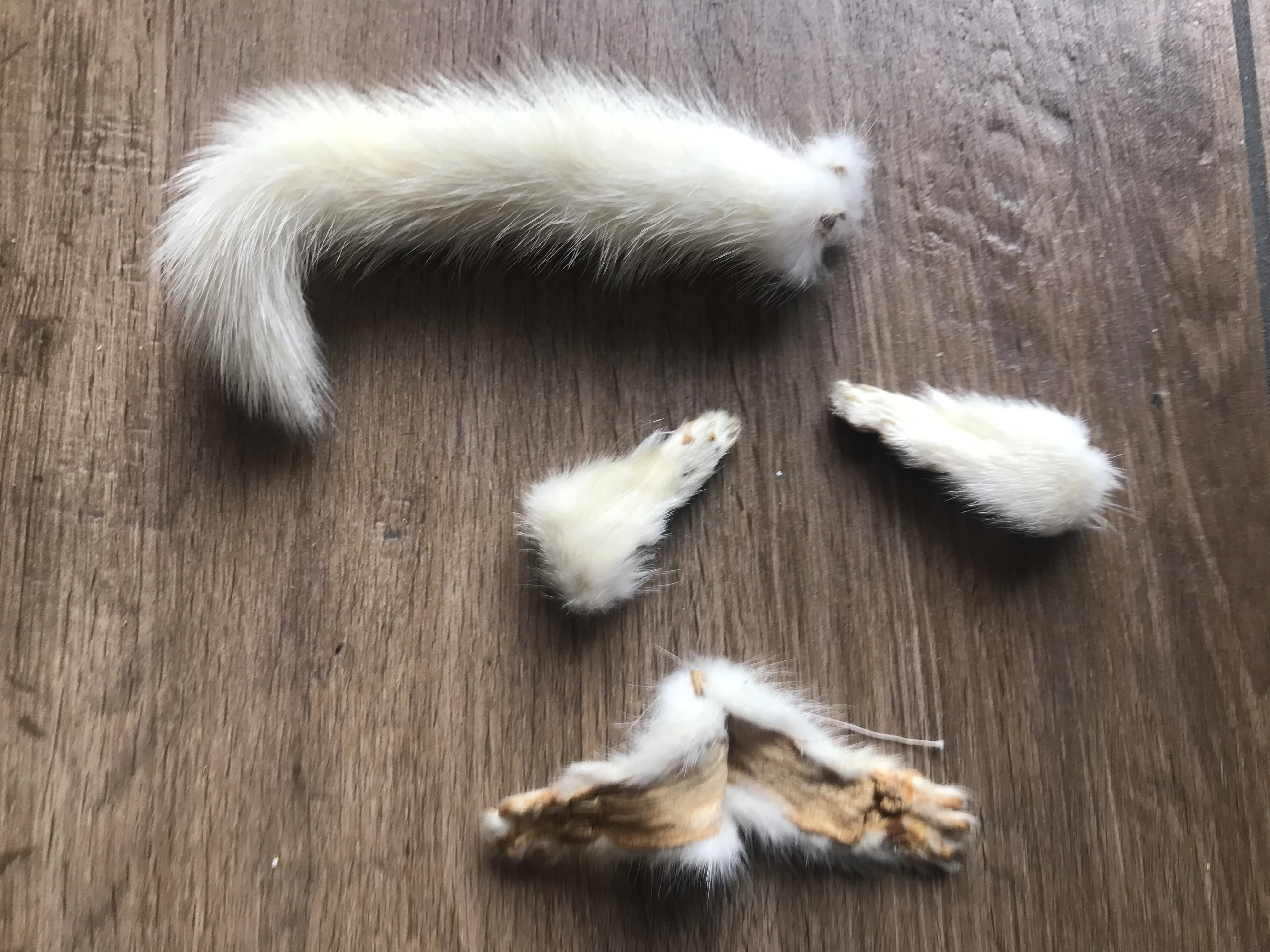 keine Beschreibung vorhanden