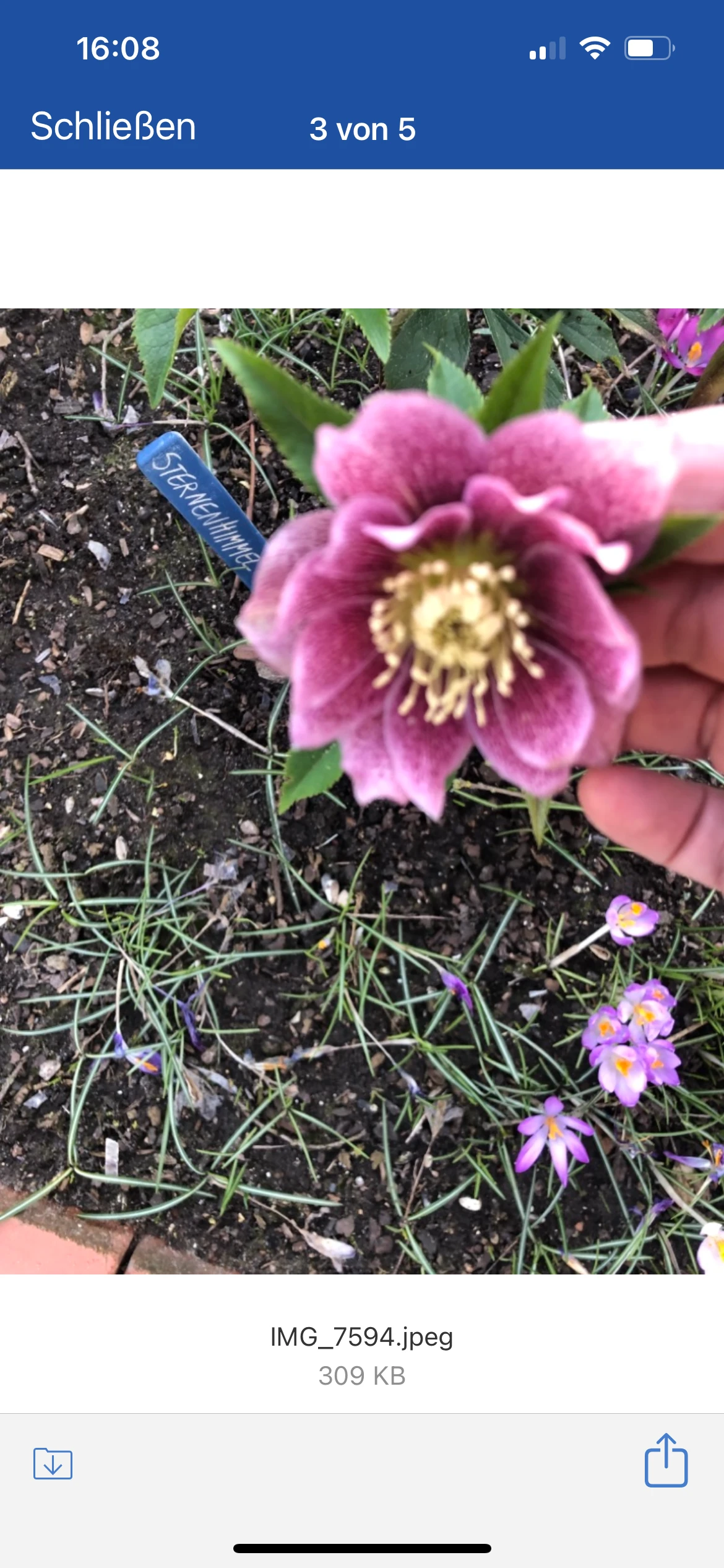 keine Beschreibung vorhanden