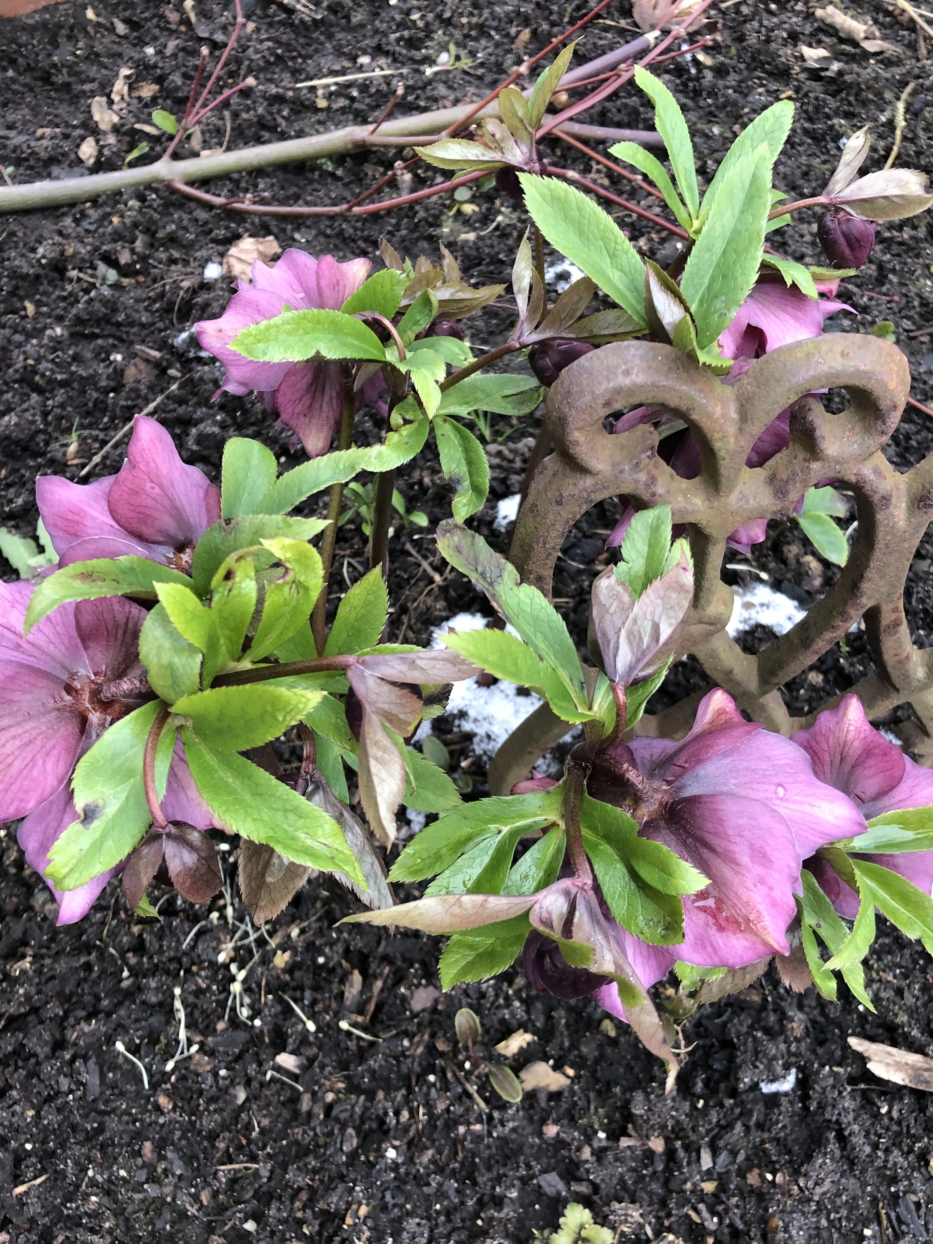 keine Beschreibung vorhanden