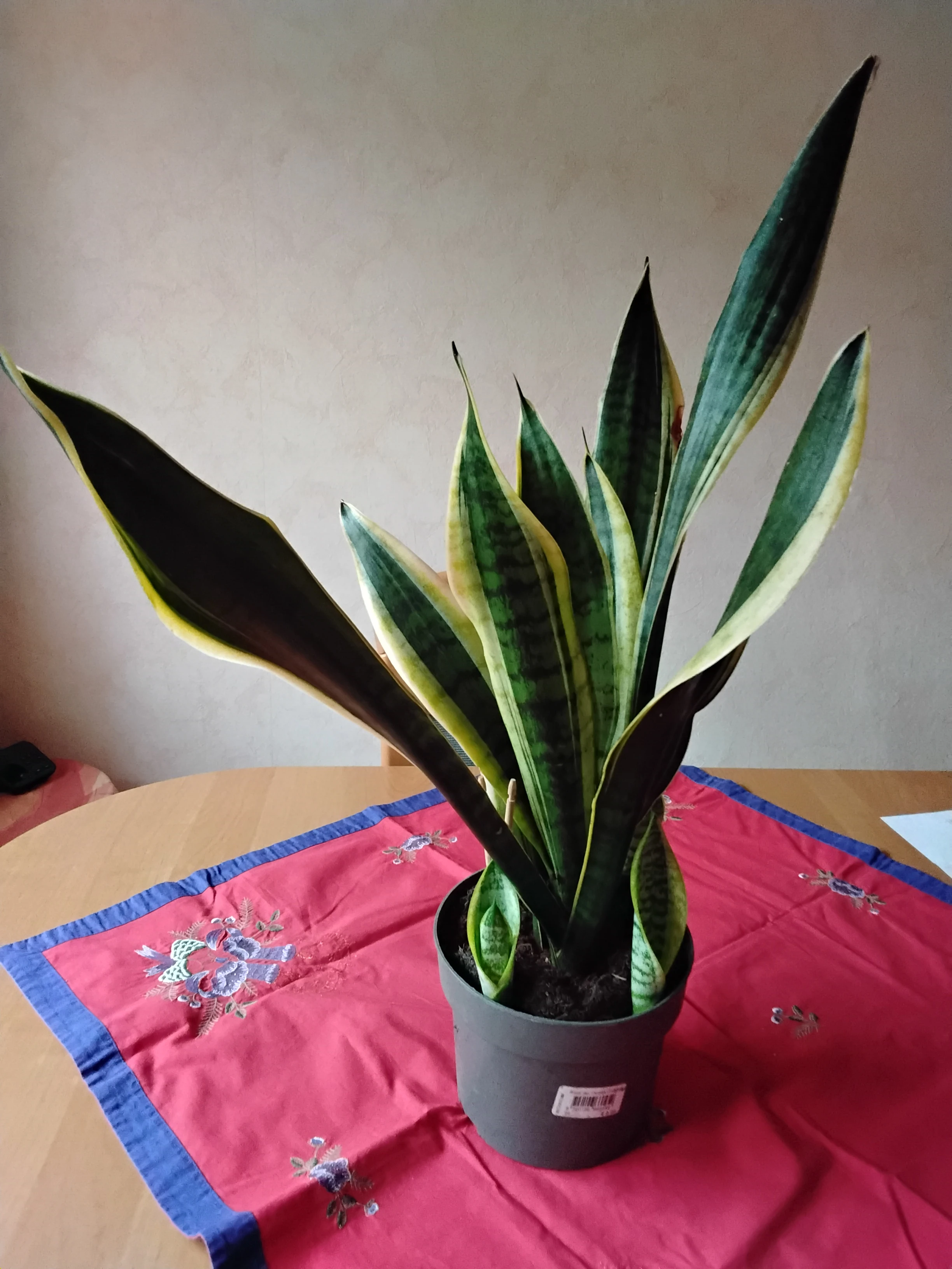 keine Beschreibung vorhanden