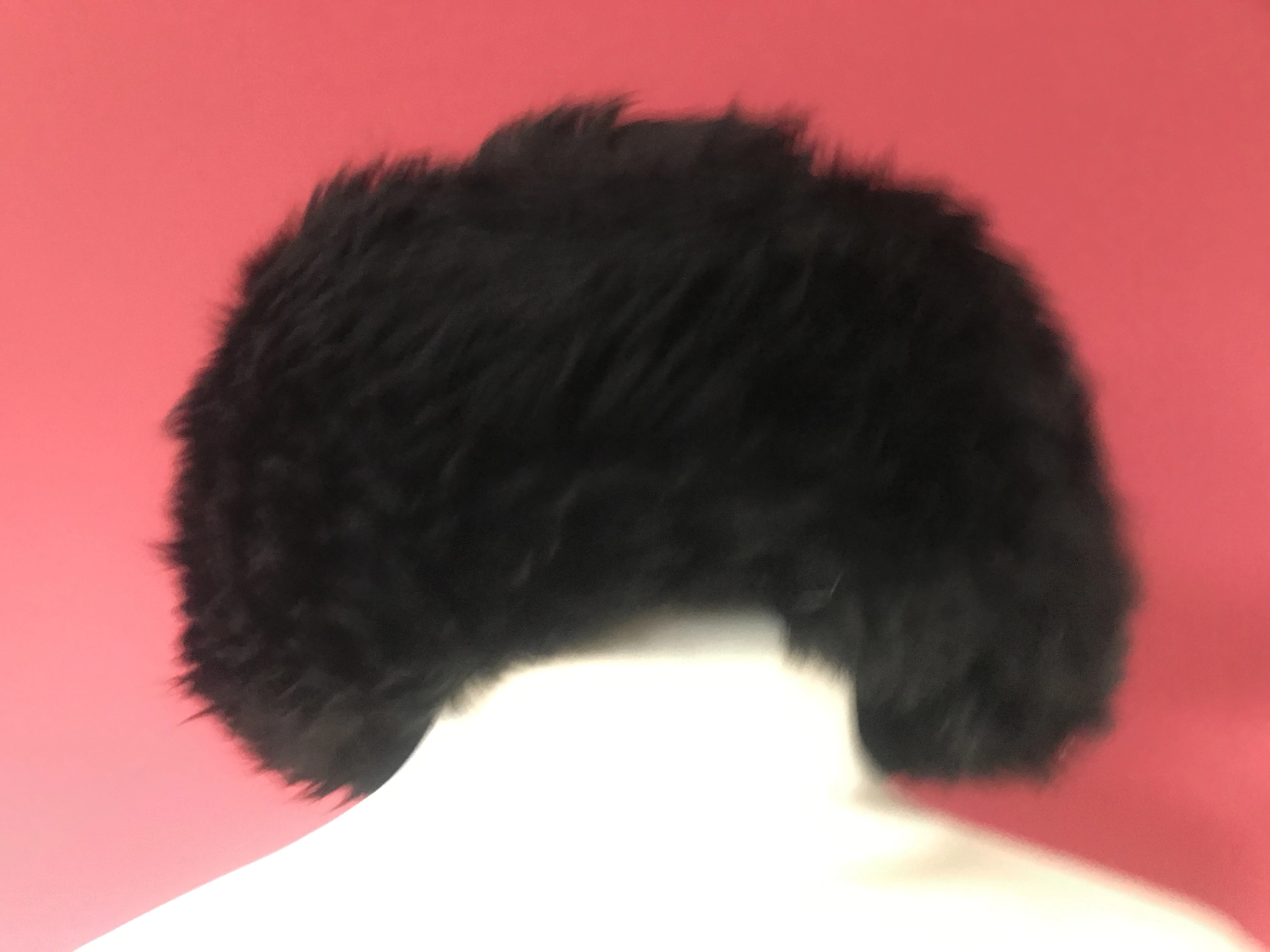 keine Beschreibung vorhanden