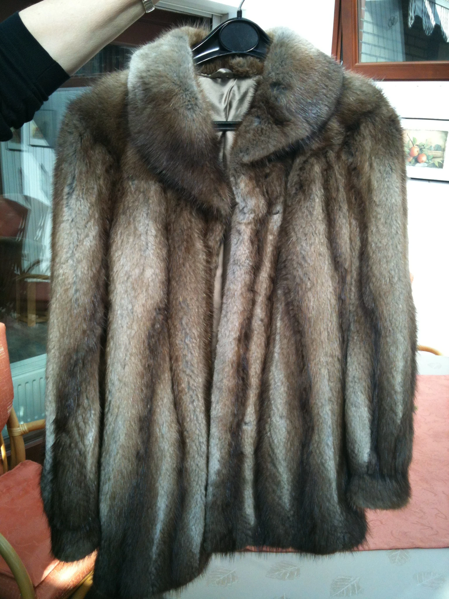 keine Beschreibung vorhanden