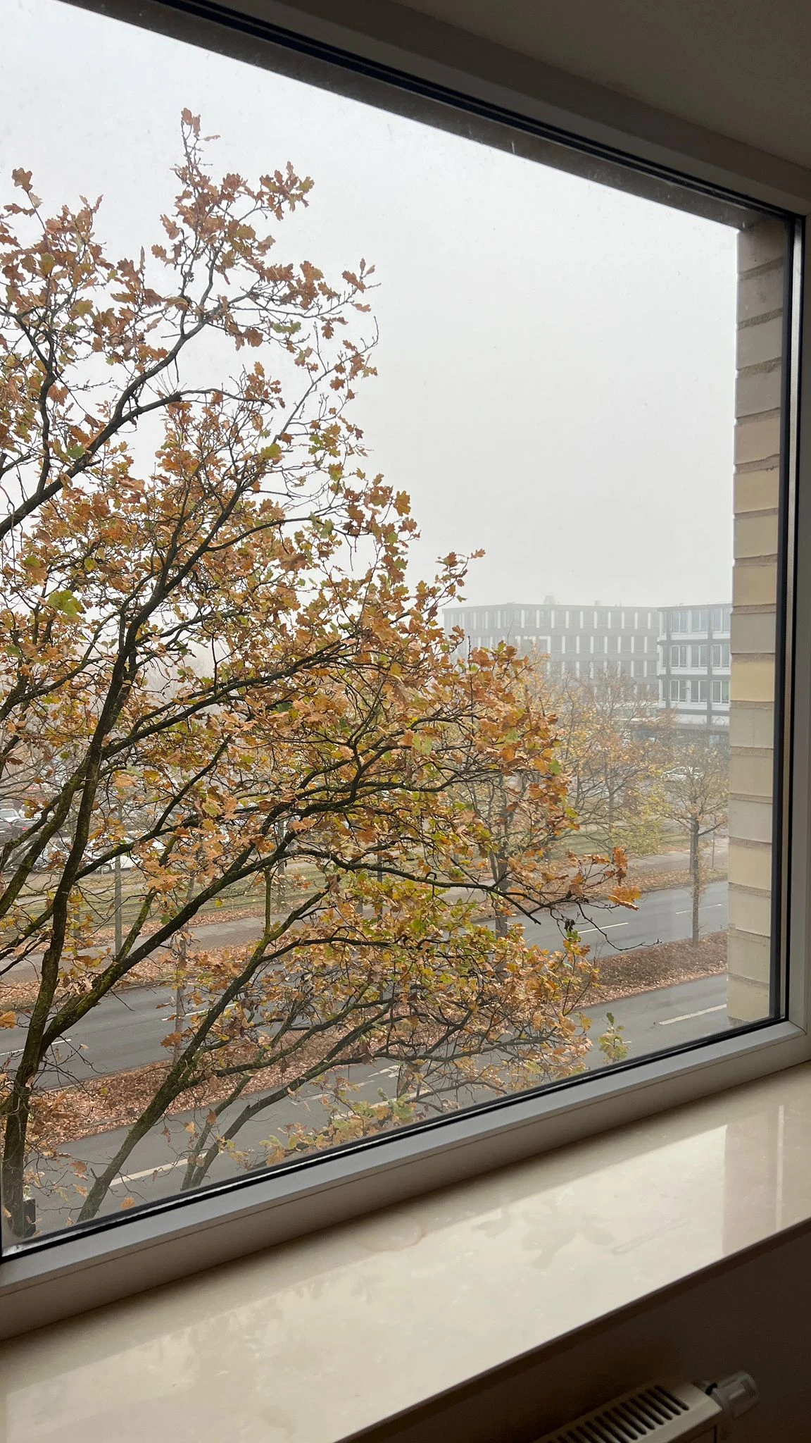 keine Beschreibung vorhanden